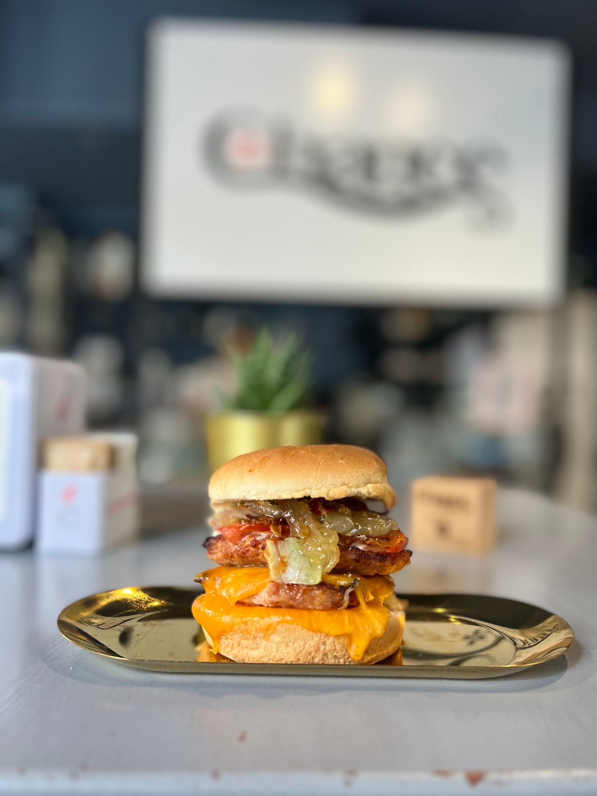 2nd Chance - © Photo by Bar Seconda Chance