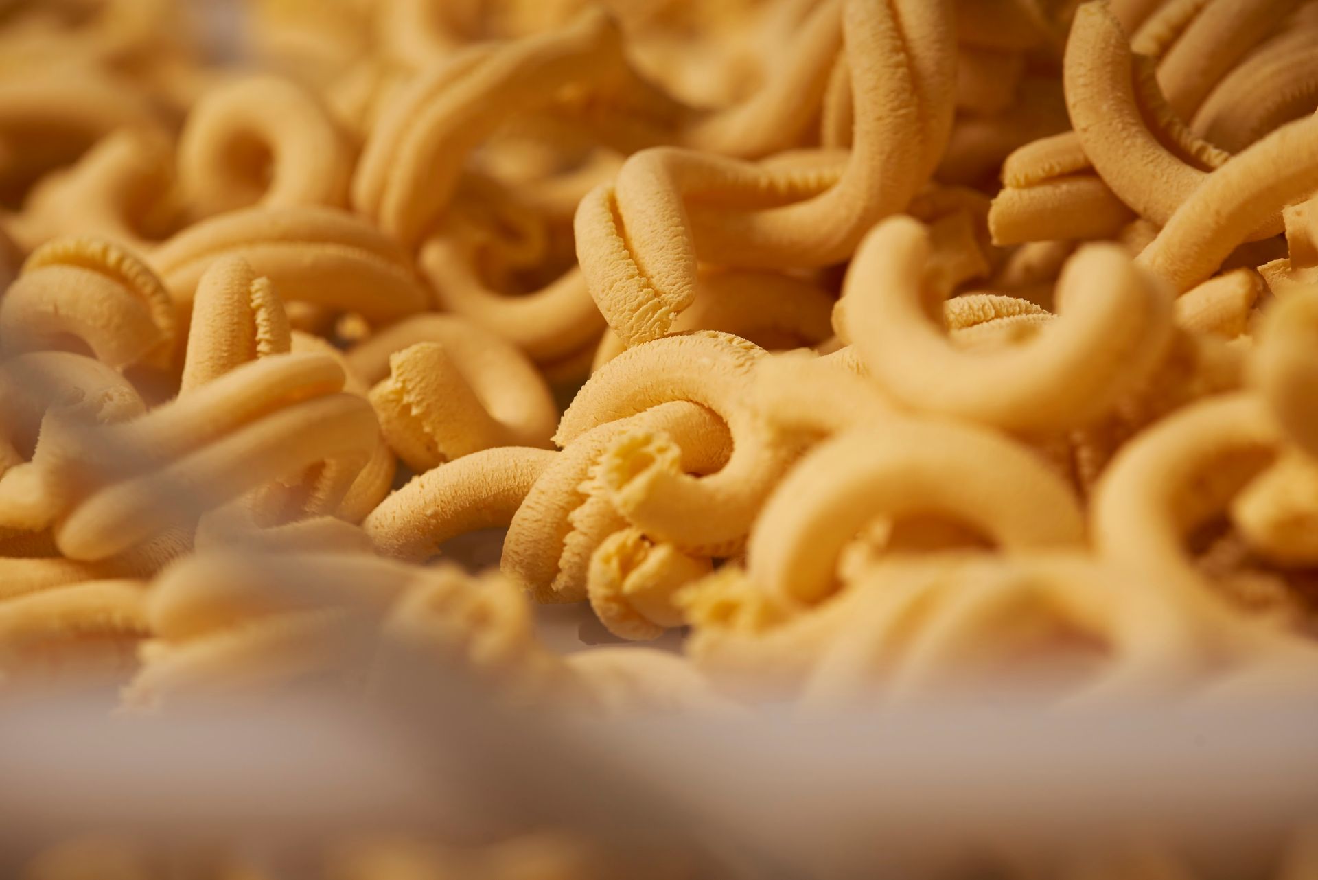 Adesso Pasta - © Photo by Adesso Pasta - Creazioni Artigiane