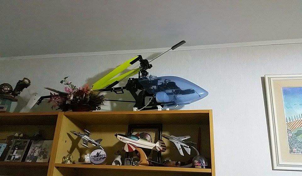 Albert model - © Photo by Giovanni Pucci