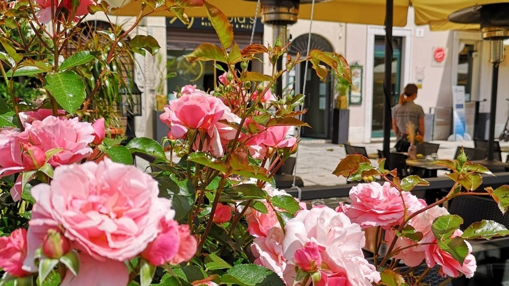 Arnold's pizzeria - © Photo by Arnold's Restaurant & Pizza