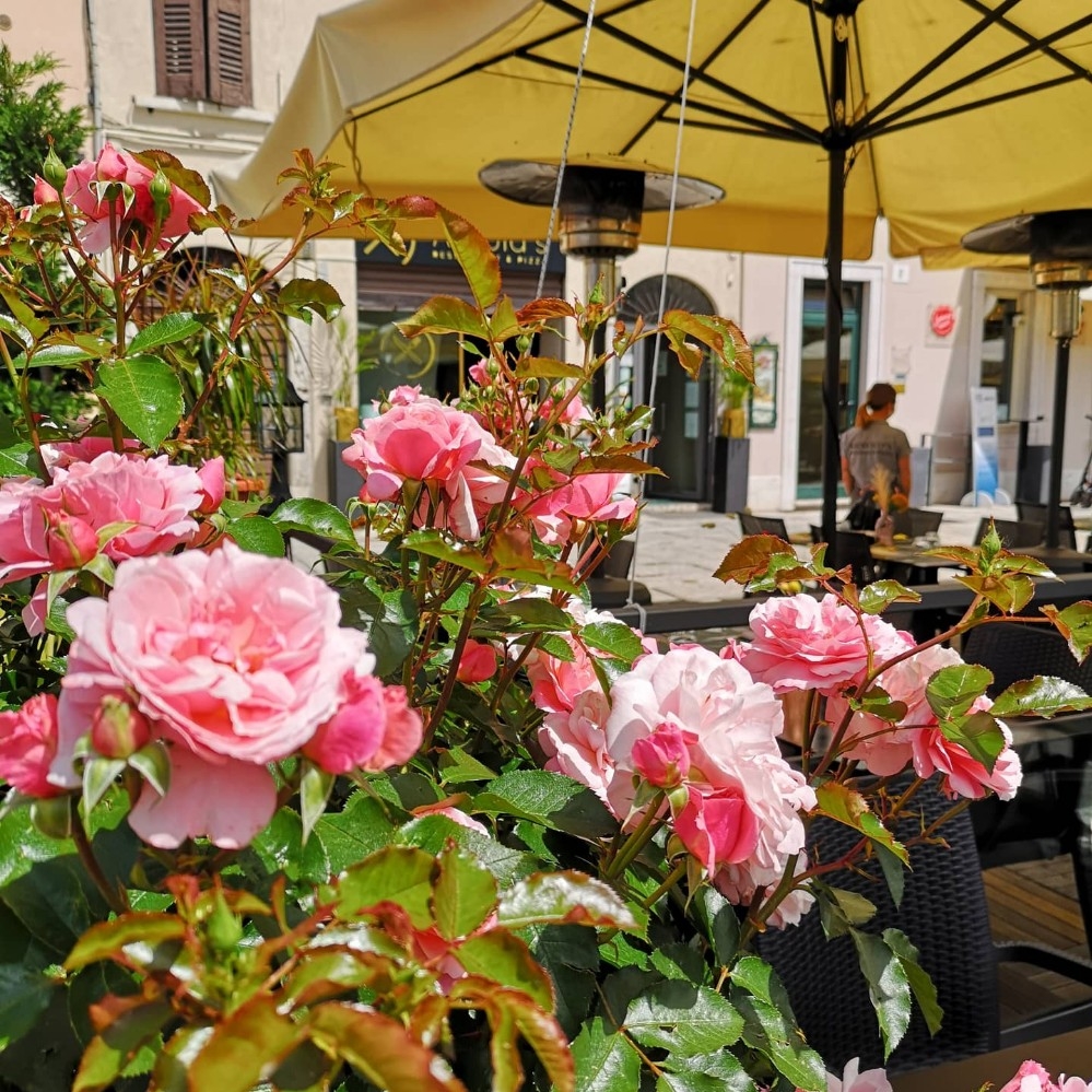 Arnold's pizzeria - © Photo by Arnold's Restaurant & Pizza