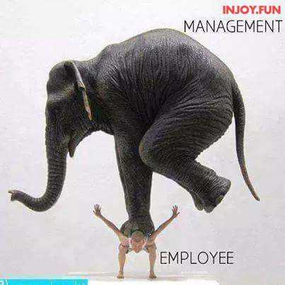 Audrey - © Photo by Audrey Antonio