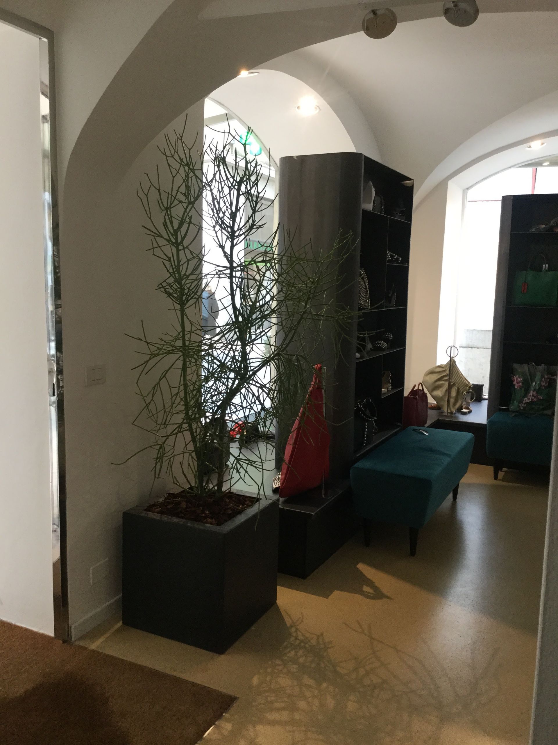 Bettina - © Photo by Bettina Calzature