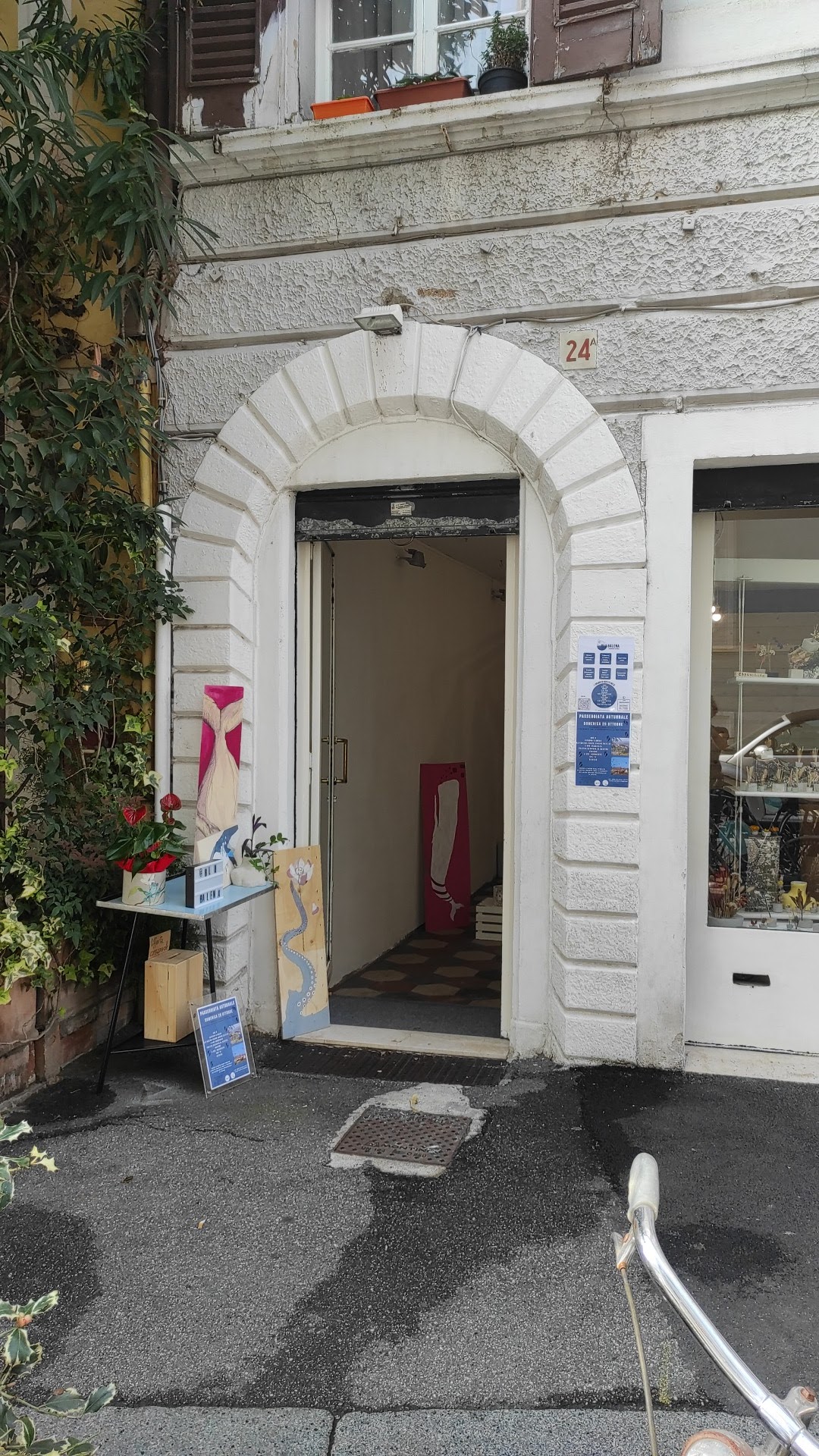 Blubalena - © Photo by Blu Balena