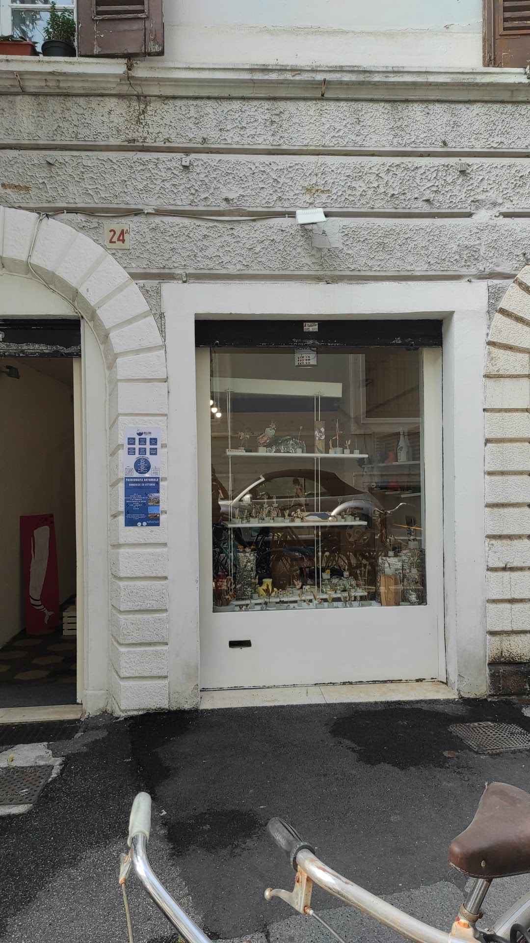 Blubalena - © Photo by Blu Balena