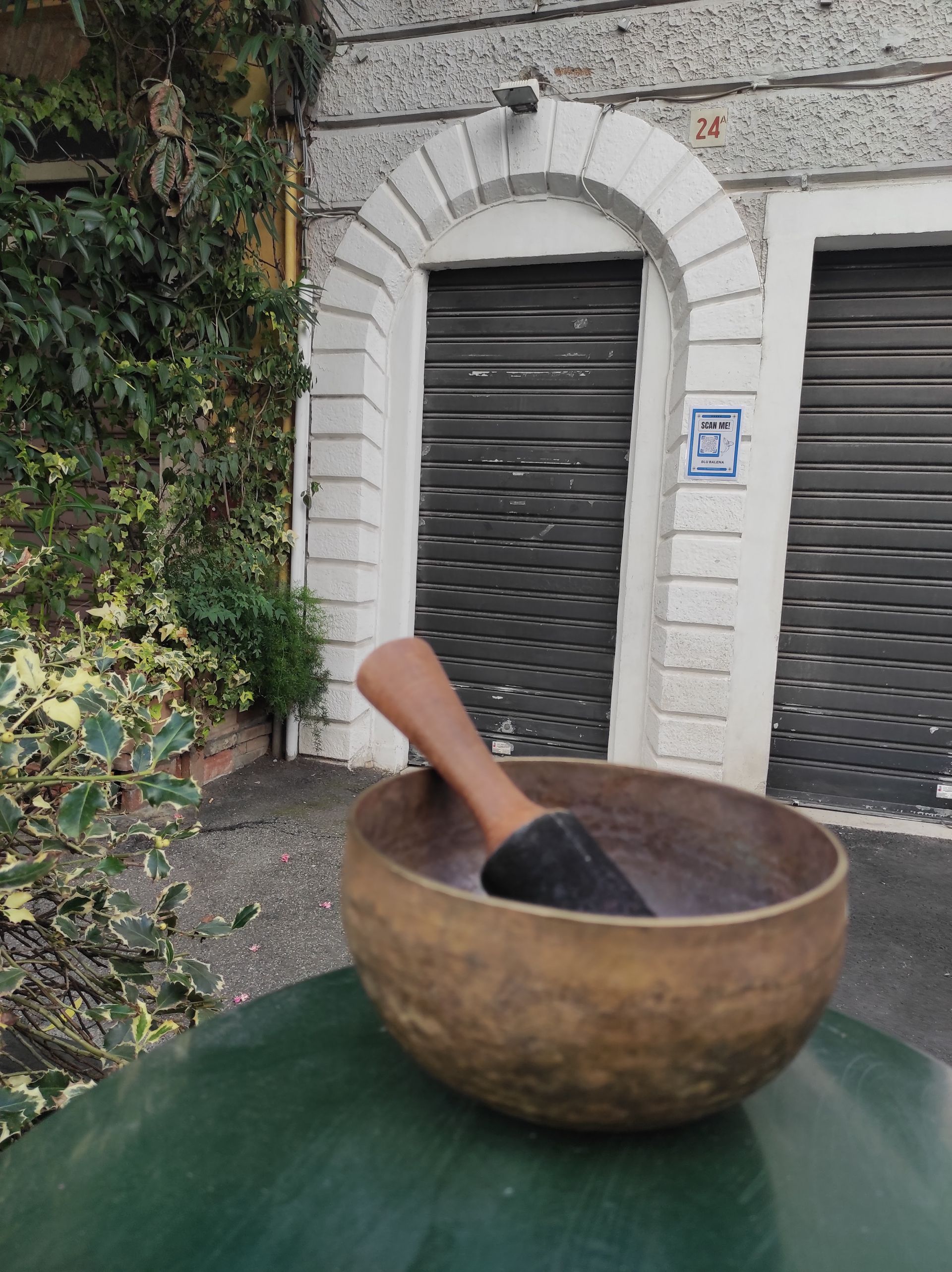 Blubalena - © Photo by Blu Balena