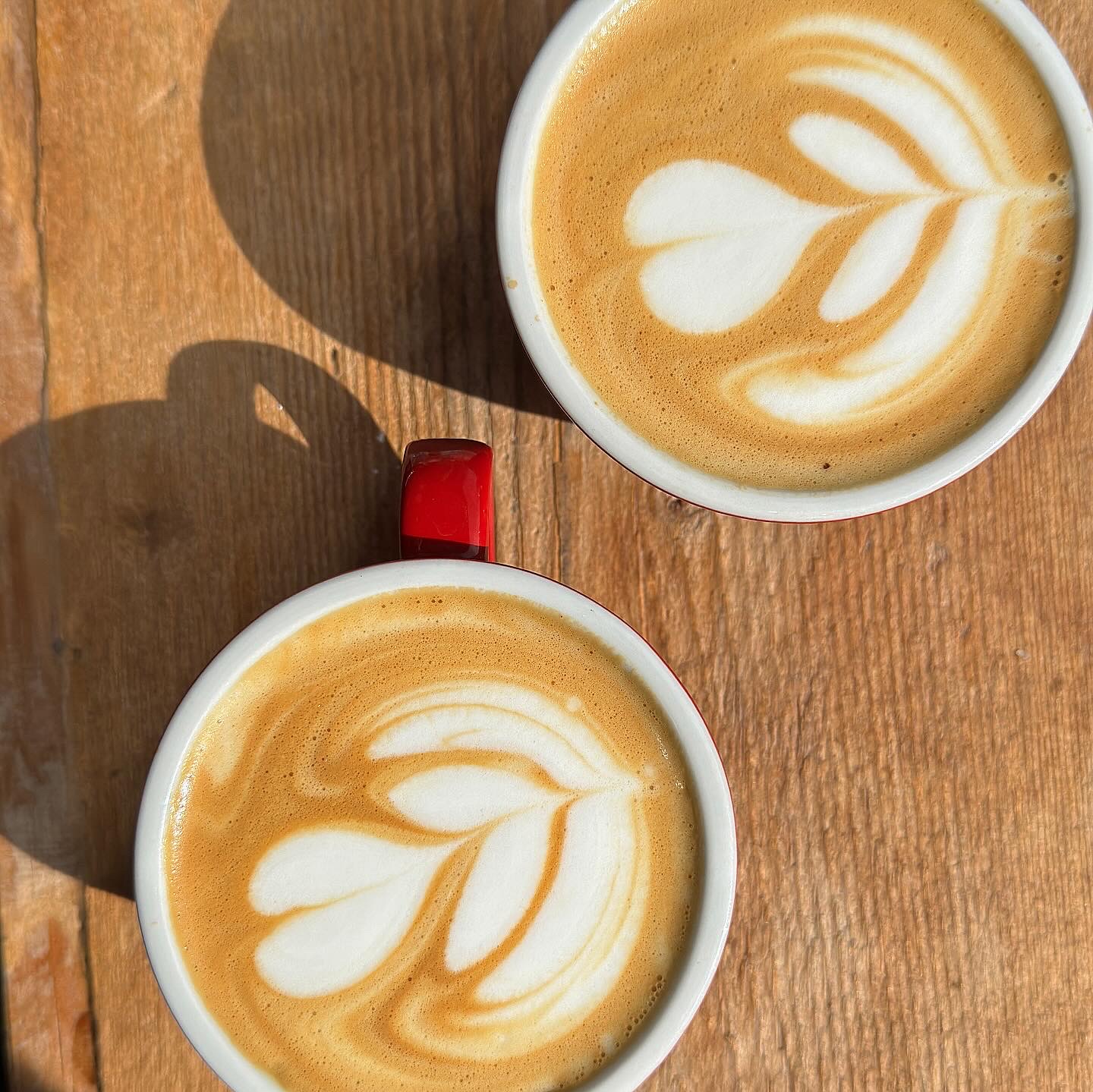 Café Gramsci - © Photo by Café Gramsci