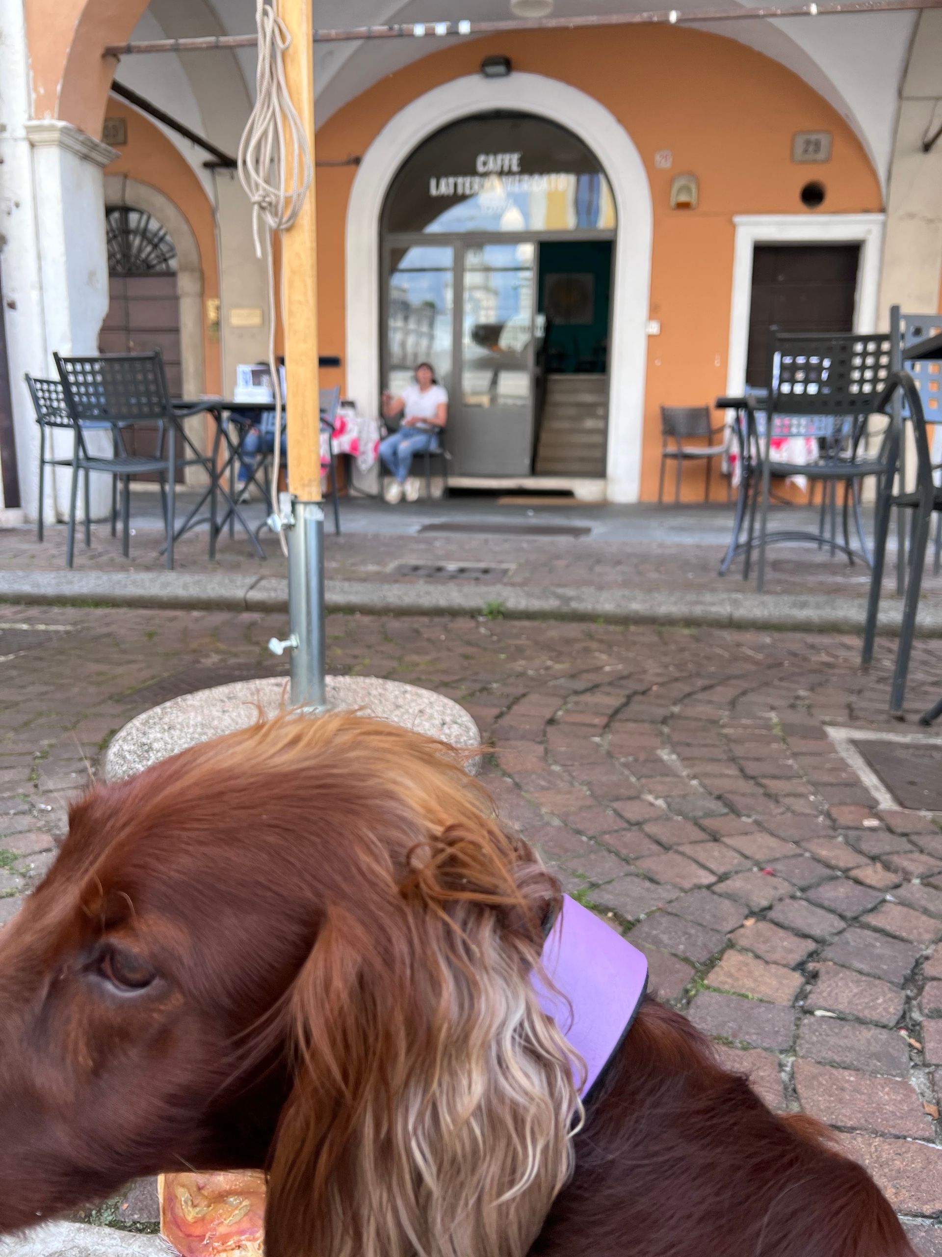 Caffè Latteria Mercato - © Photo by Colin Arlott