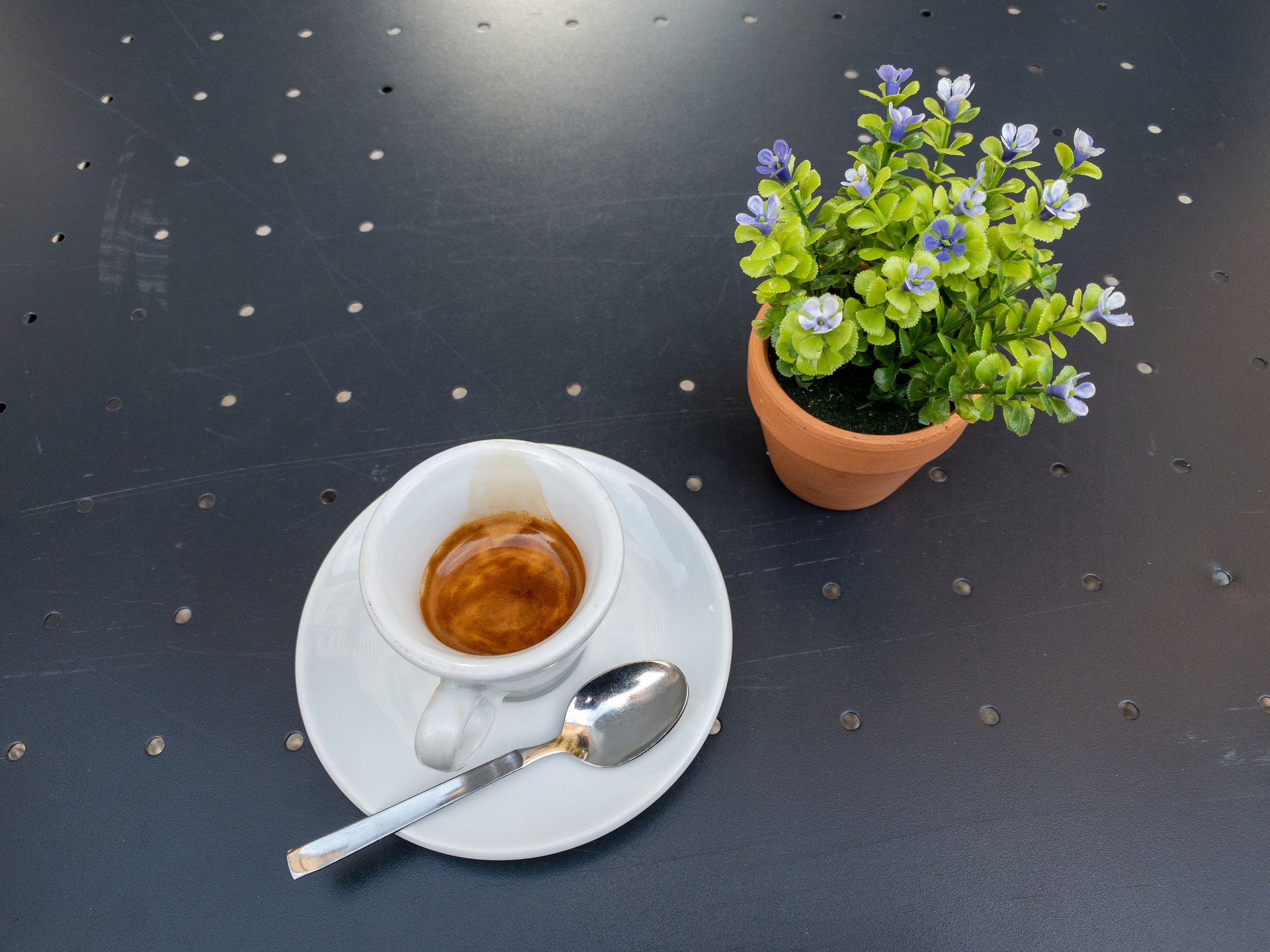Caffè Vecchia Piazza - © Photo by Edoardo B. (edoa_rdo)