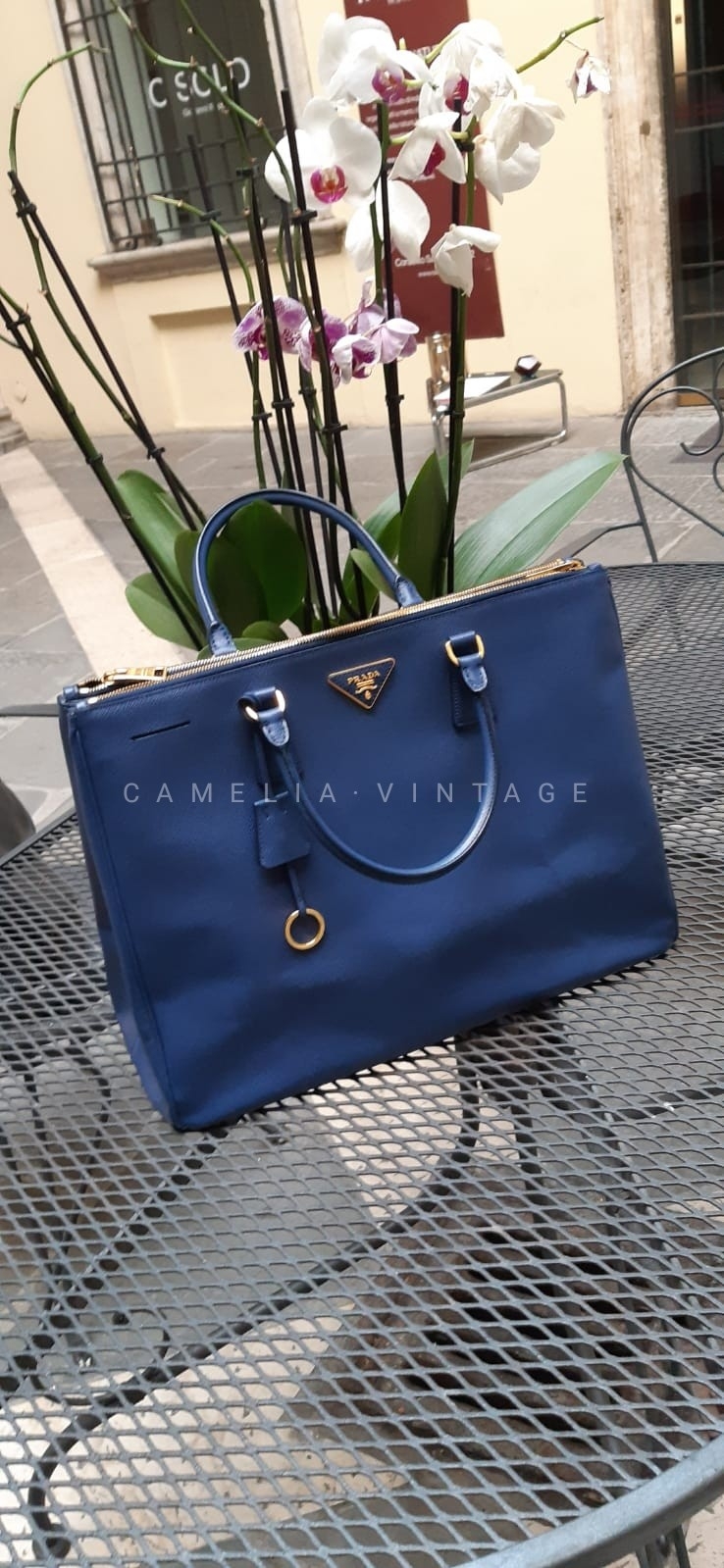 Camelia Vintage - © Photo by Camelia Vintage