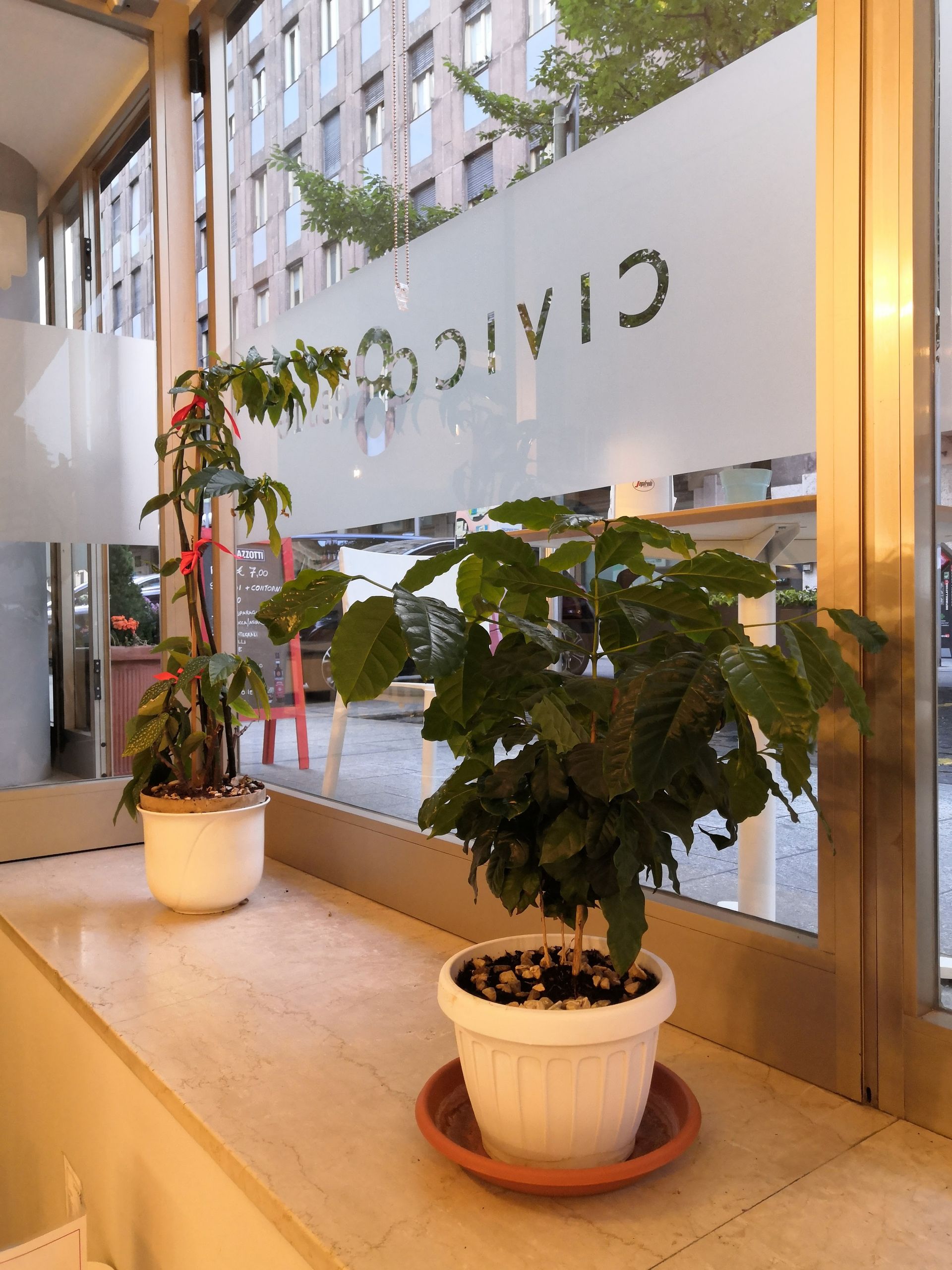 Civico 8 caffè - © Photo by CIVICO8caffè