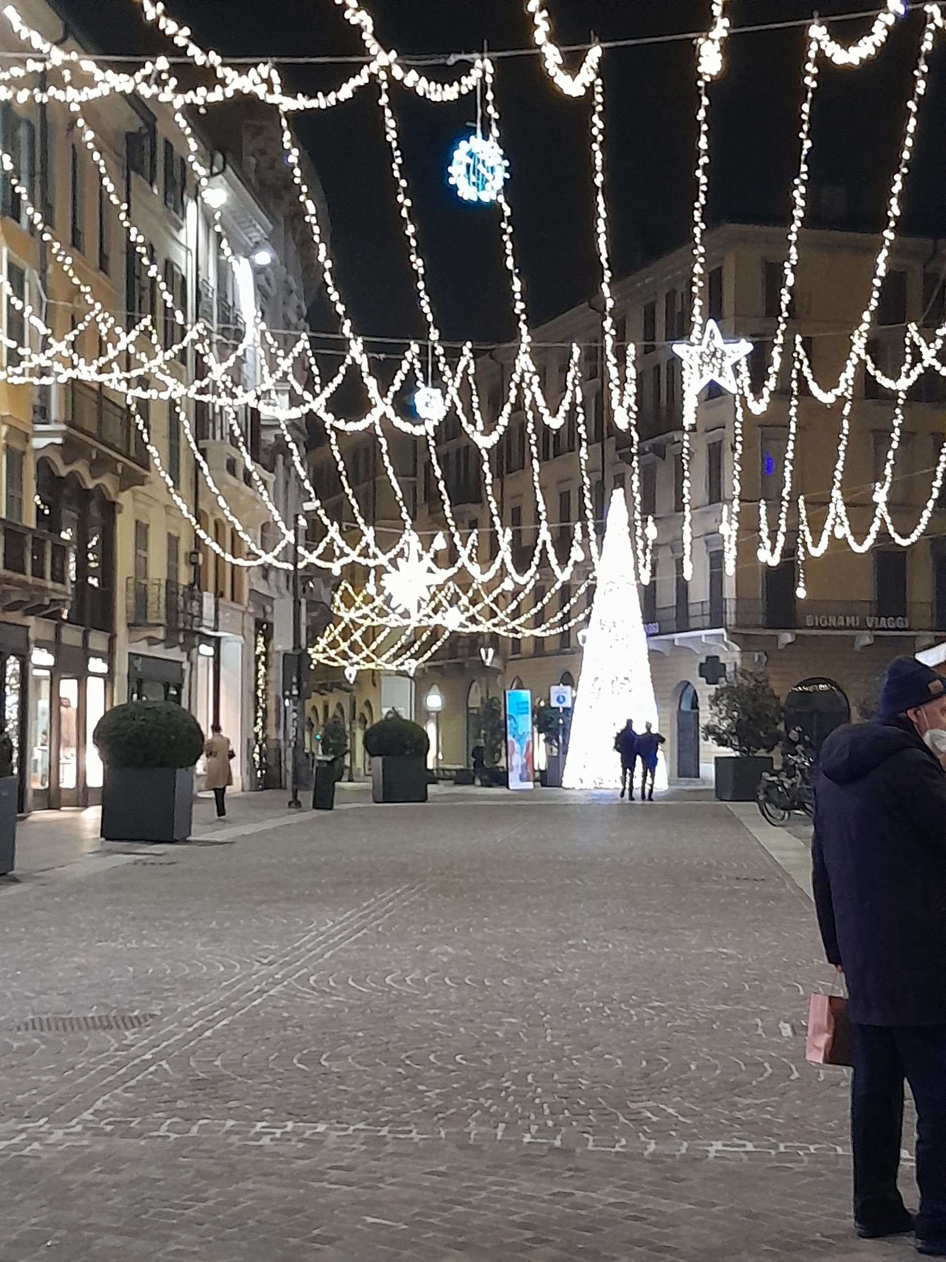 Coccinelle - © Photo by alba pozzi (Alba)