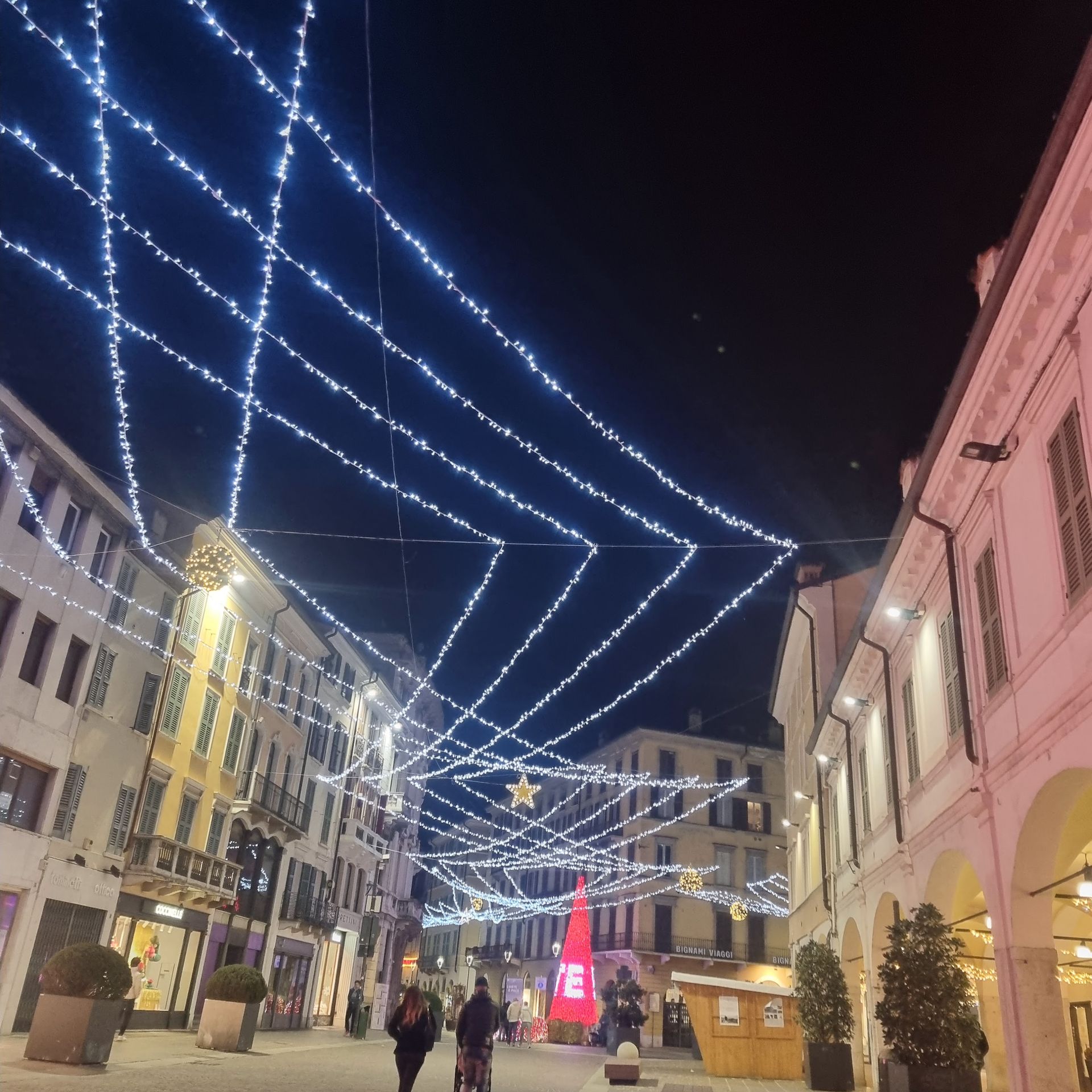 Coccinelle - © Photo by Luigi Cremonesi