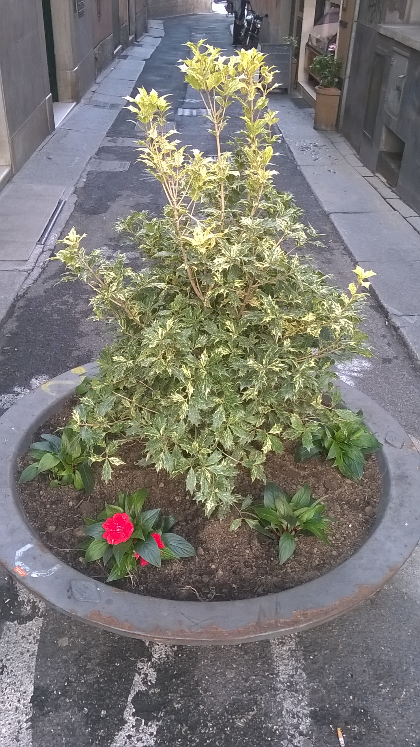 Colosio - © Photo by Polleria F.lli Colosio s.n.c.