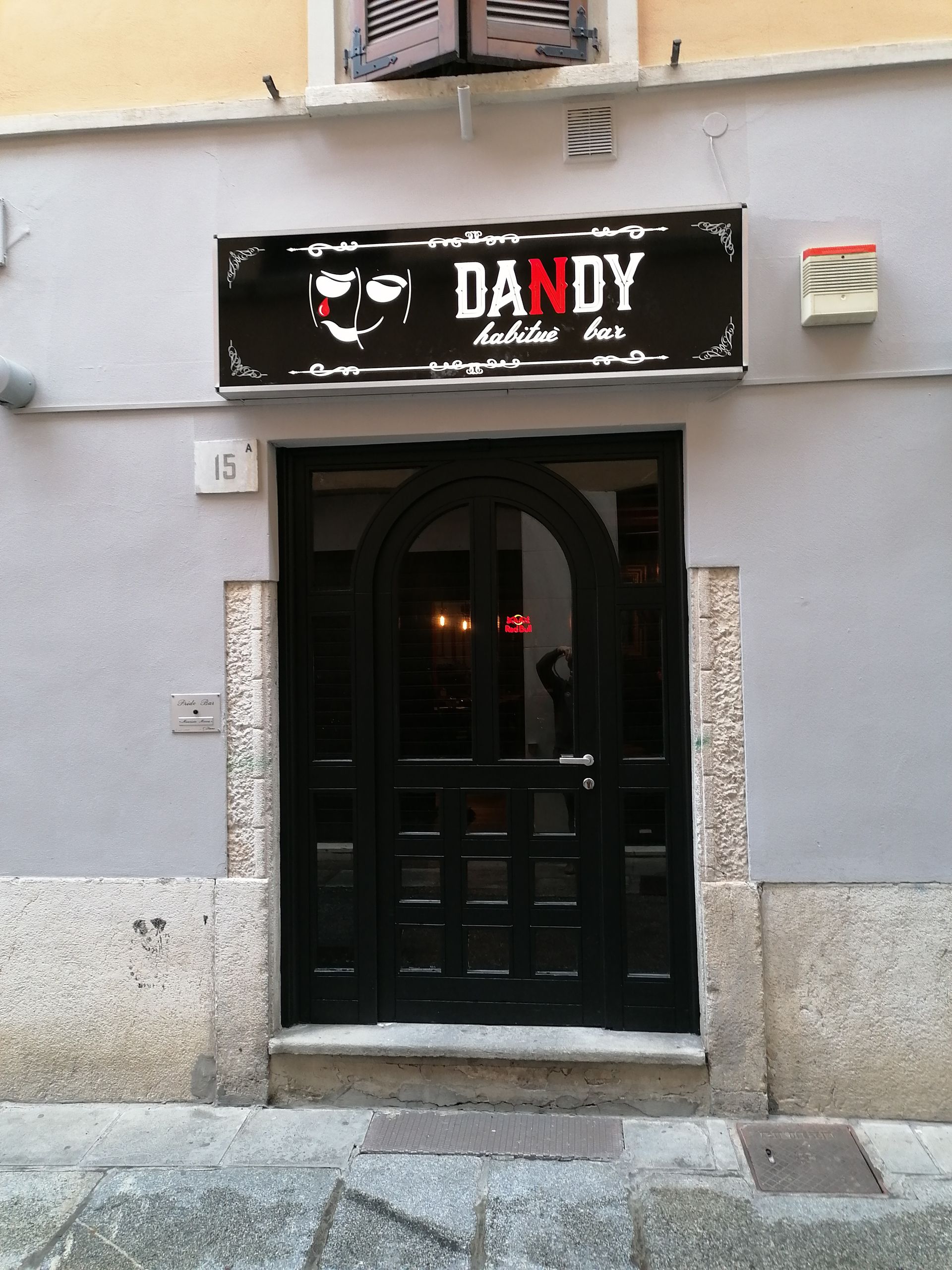 Dandy - © Photo by giuseppe rino