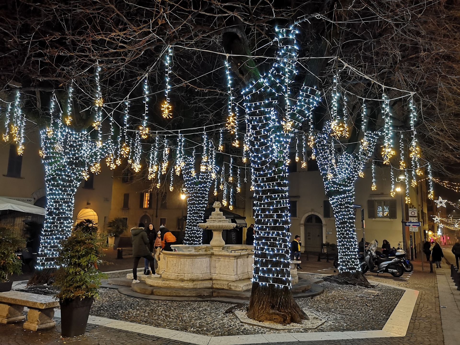 Dina - © Photo by Carlo P.