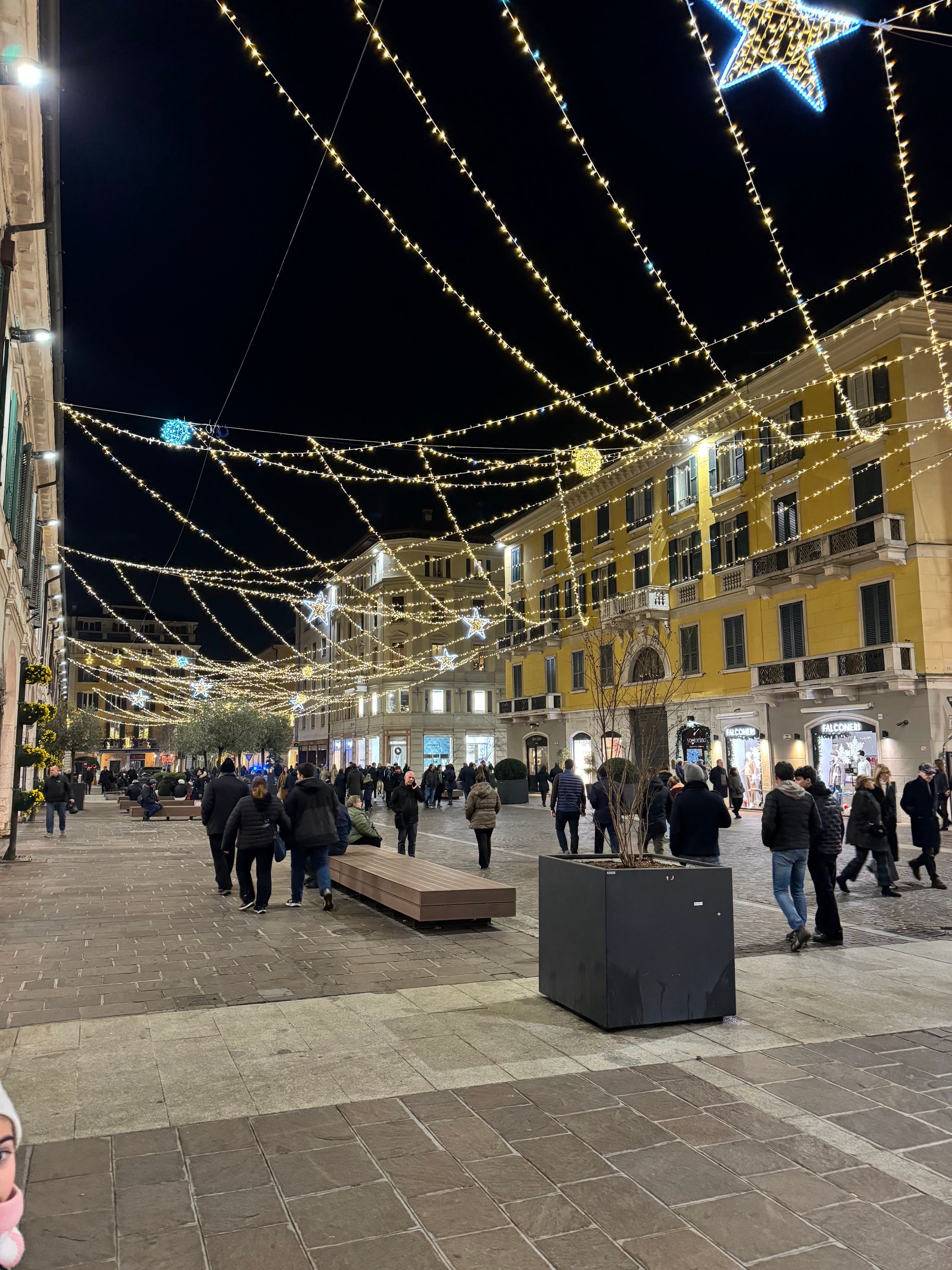 Falconeri - © Photo by Domenico Bussichella