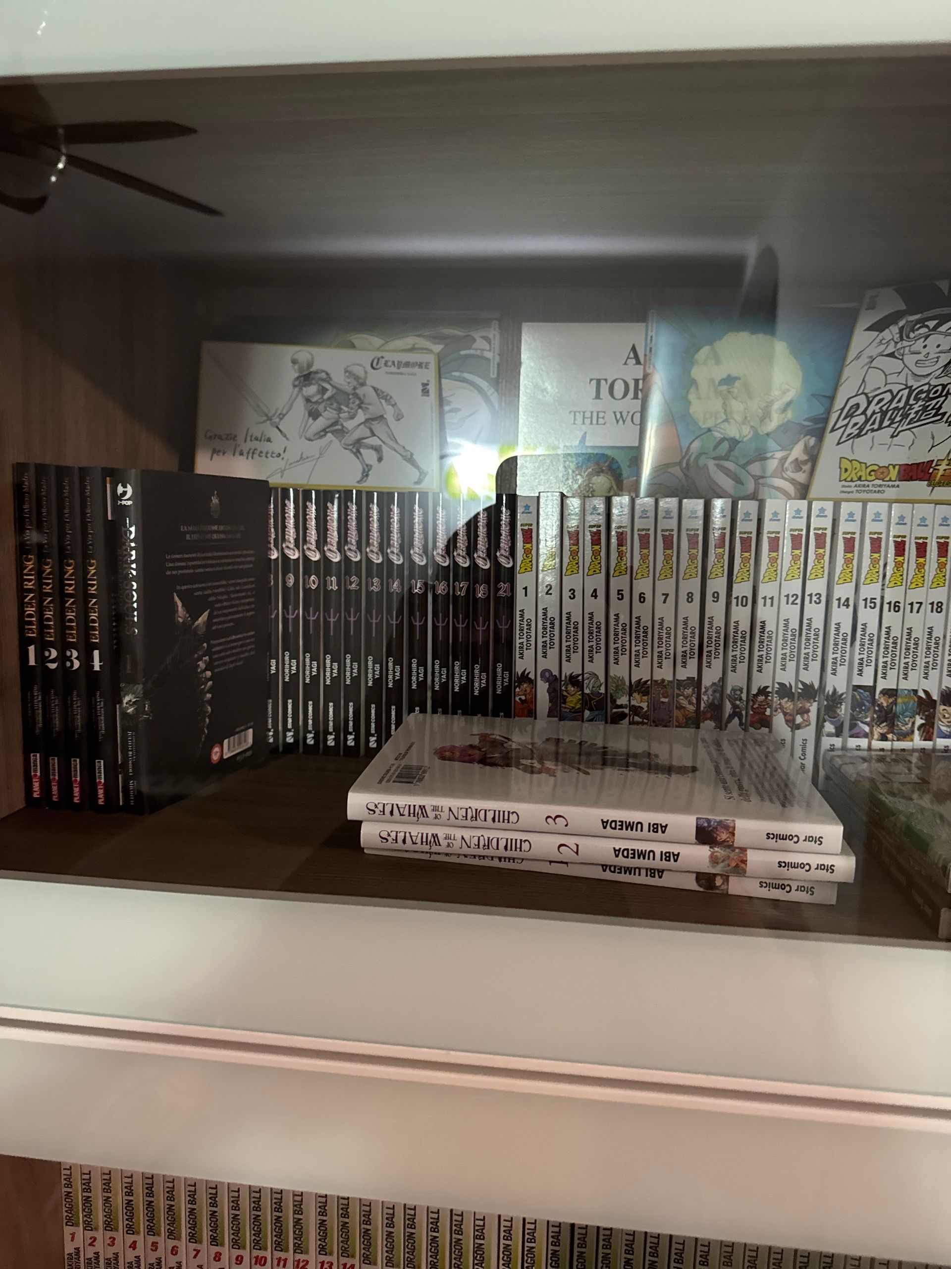 Fumetteria in corso - © Photo by Francesco Radoani