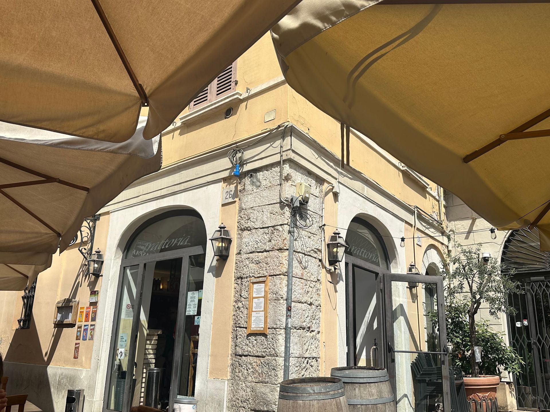 Gasparo - © Photo by Ali Hashemi Gheinani