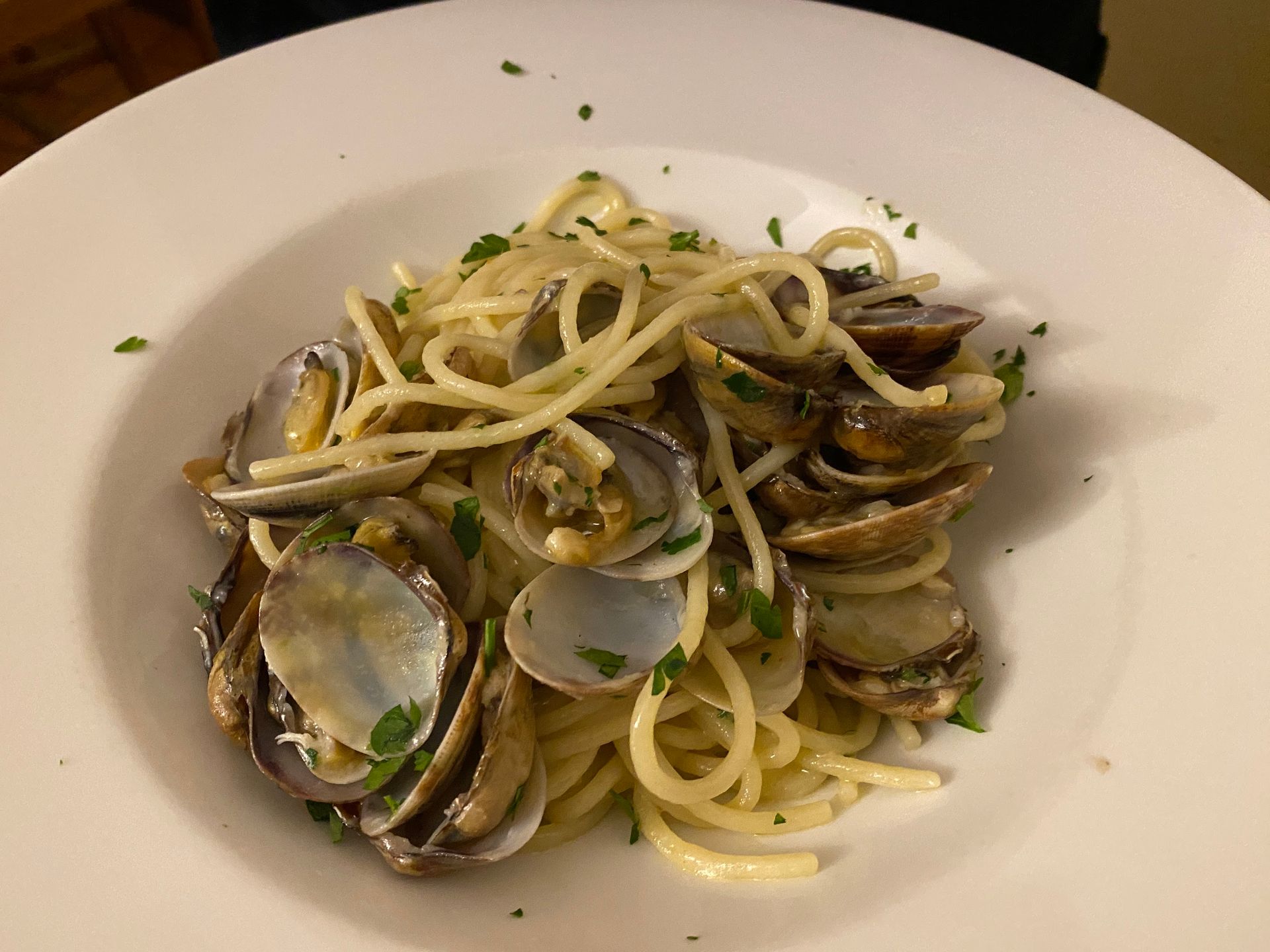 Gasparo - © Photo by イトウ“ヲジさん2人ノルウェー同棲生活”ナオヒロ