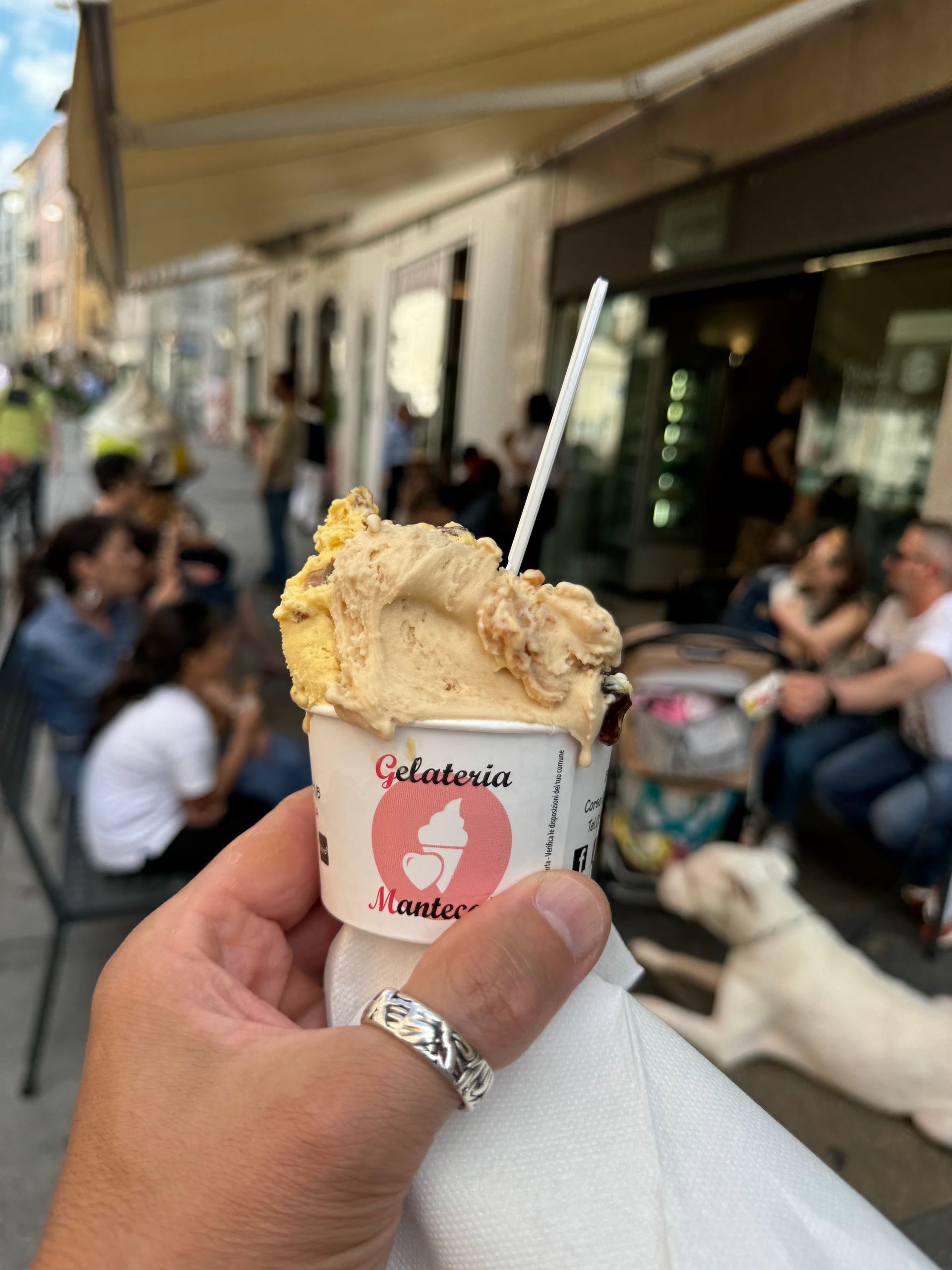 Gelateria mantecaia - © Photo by Luis, Pla Mallorca