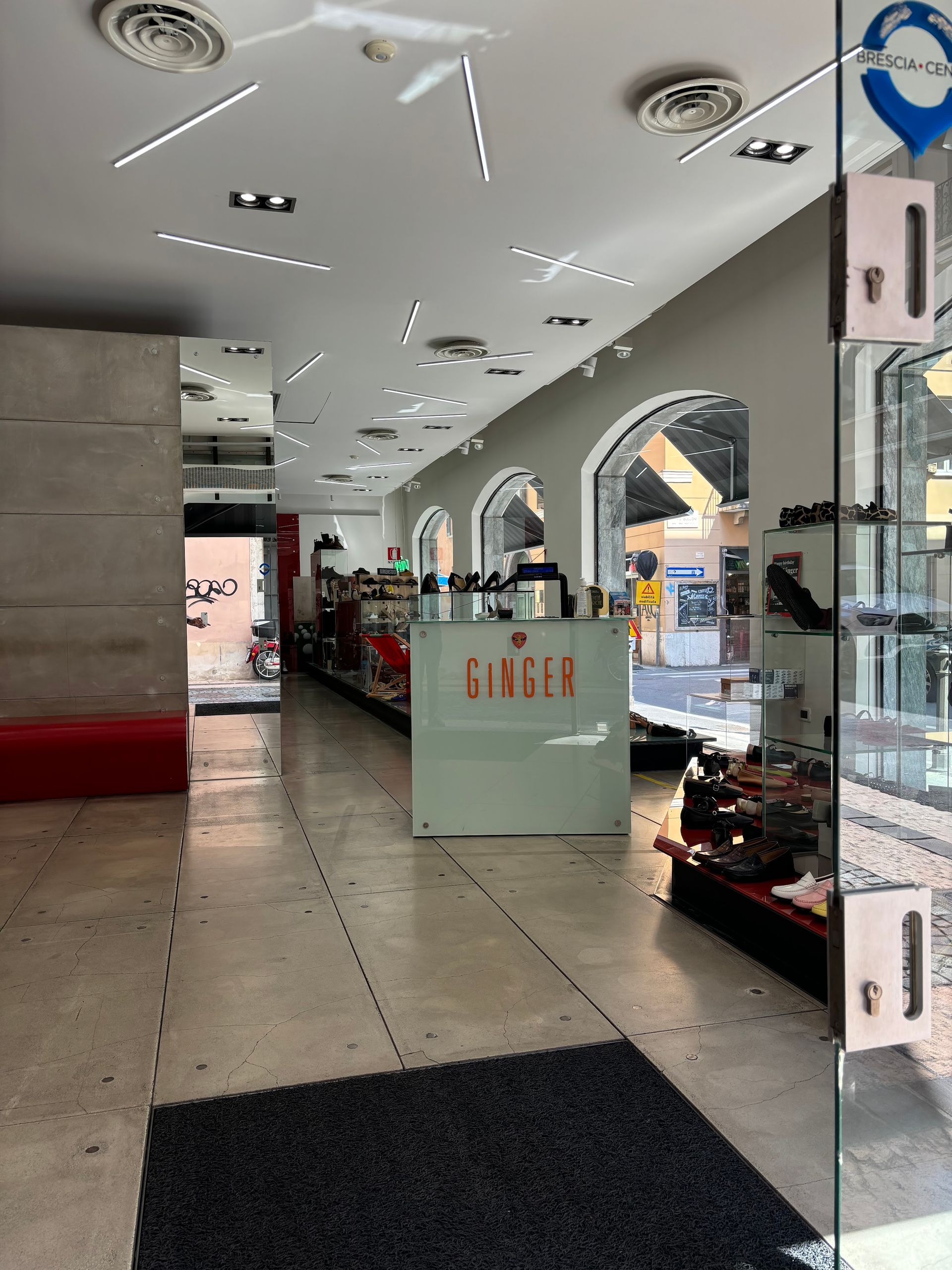 Ginger - © Photo by Ginger