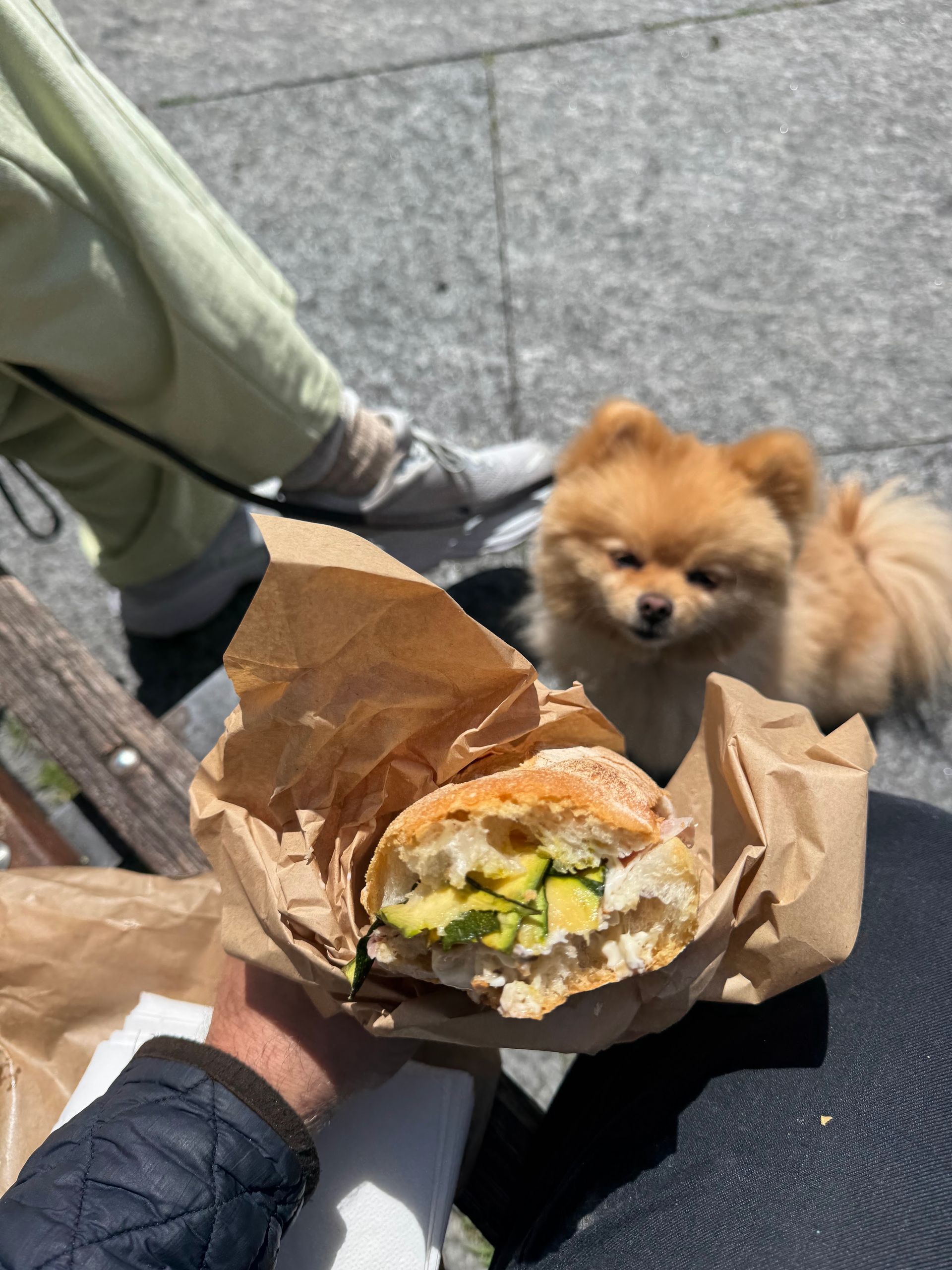 Gnam Gnam un panino in centro - © Photo by Denym Bird