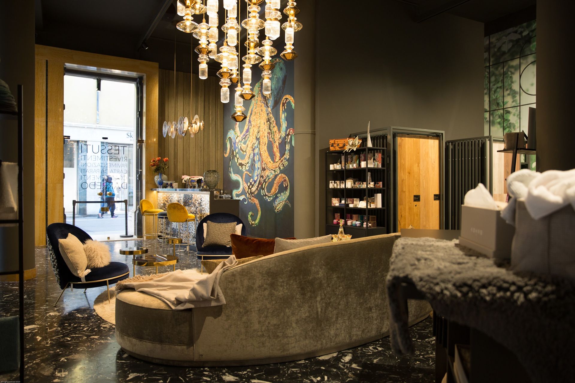 Kaleukos - © Photo by Kaleikos