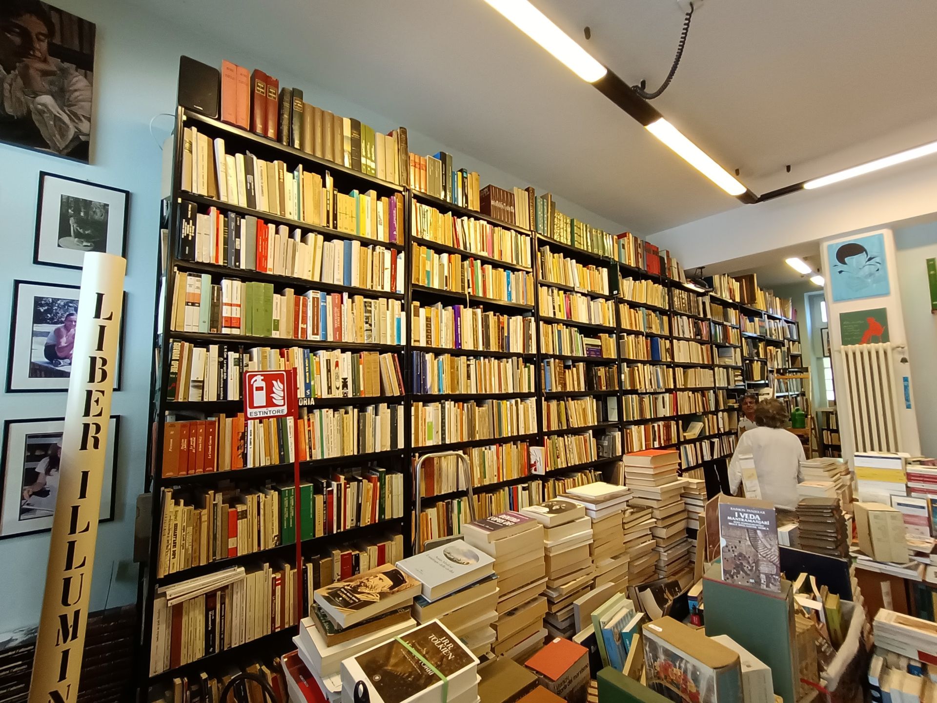 La fenice - © Photo by Riccardo Palazzani