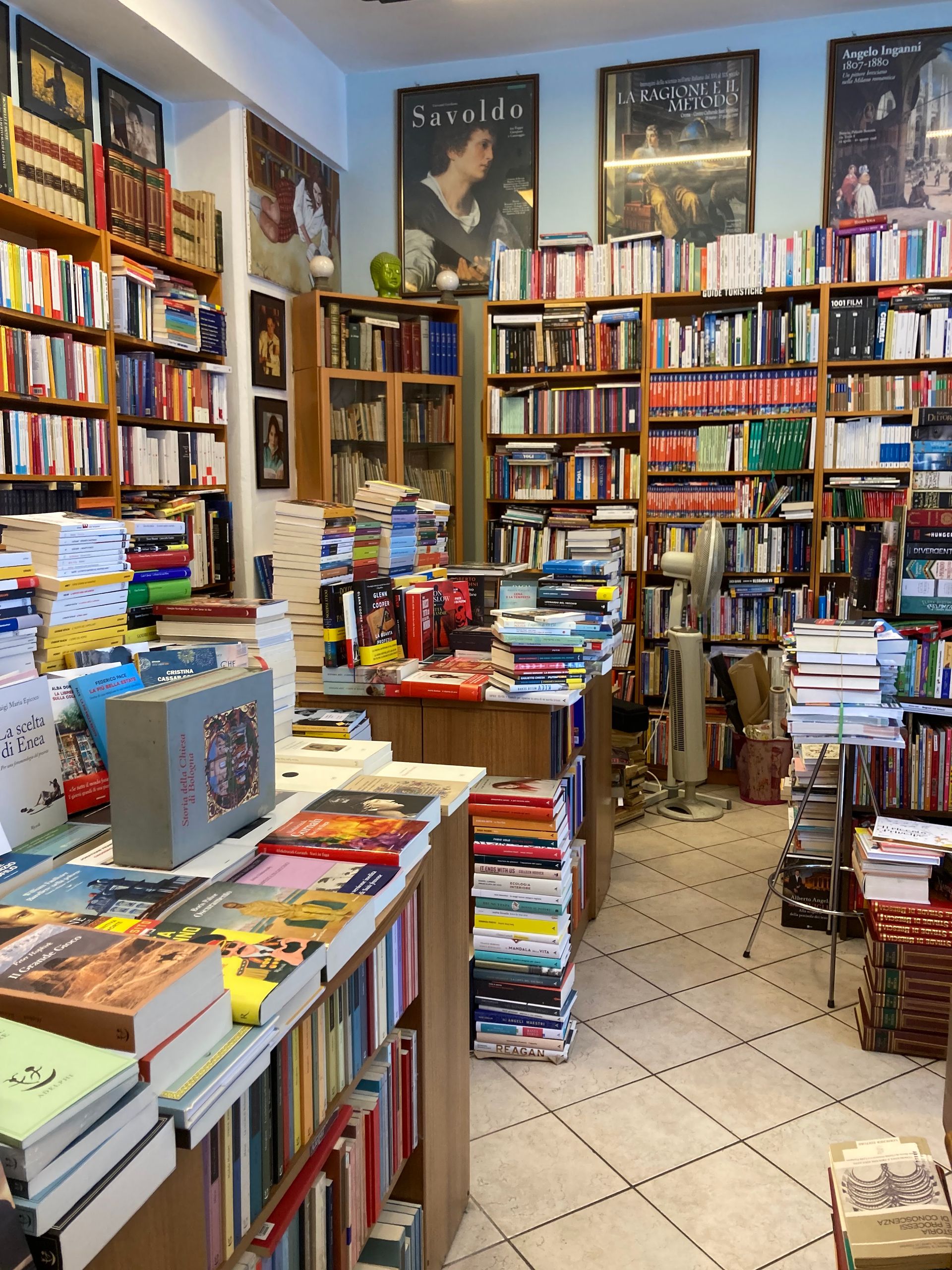 La fenice - © Photo by Massimiliano Boschini