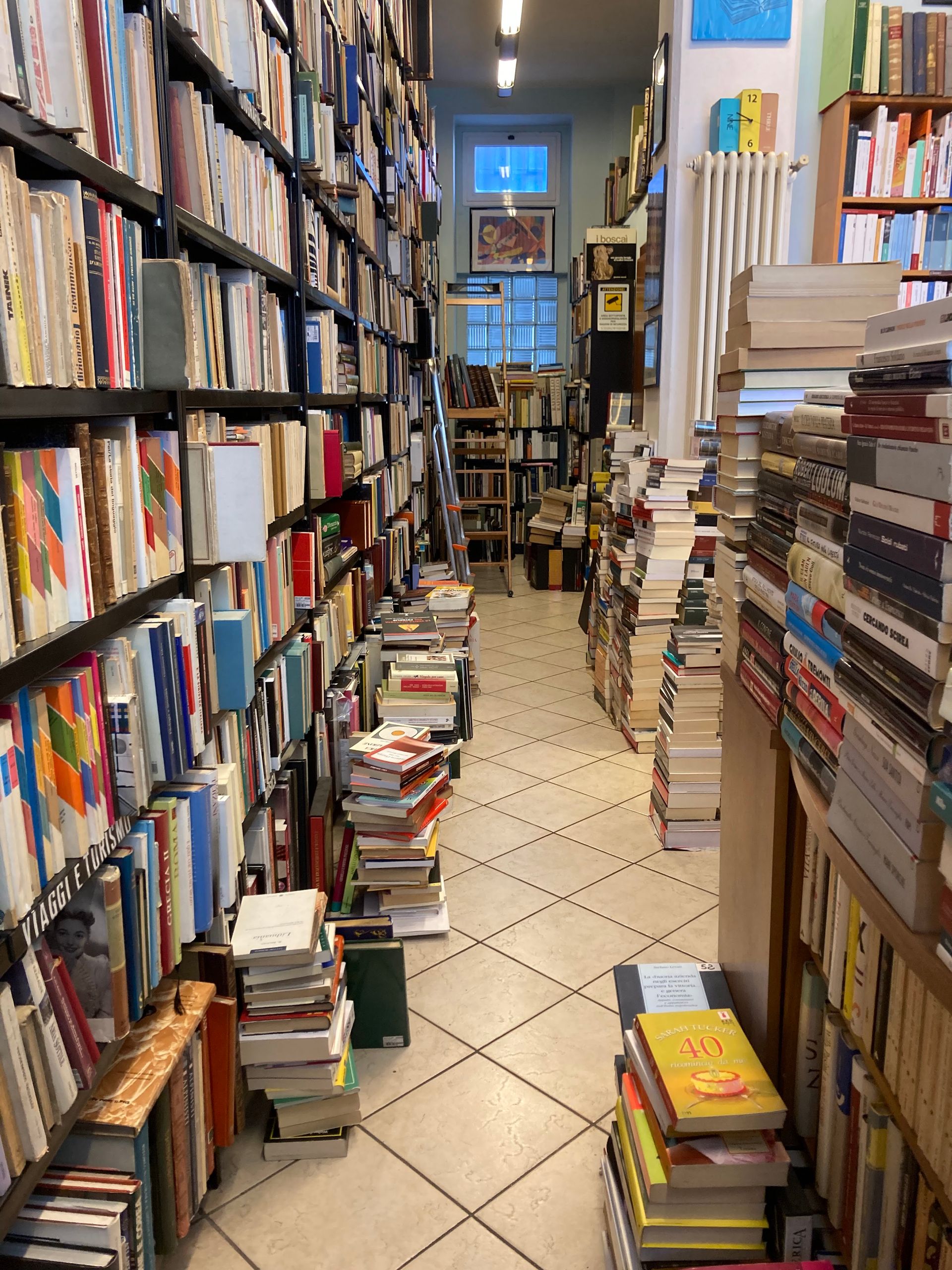 La fenice - © Photo by Massimiliano Boschini