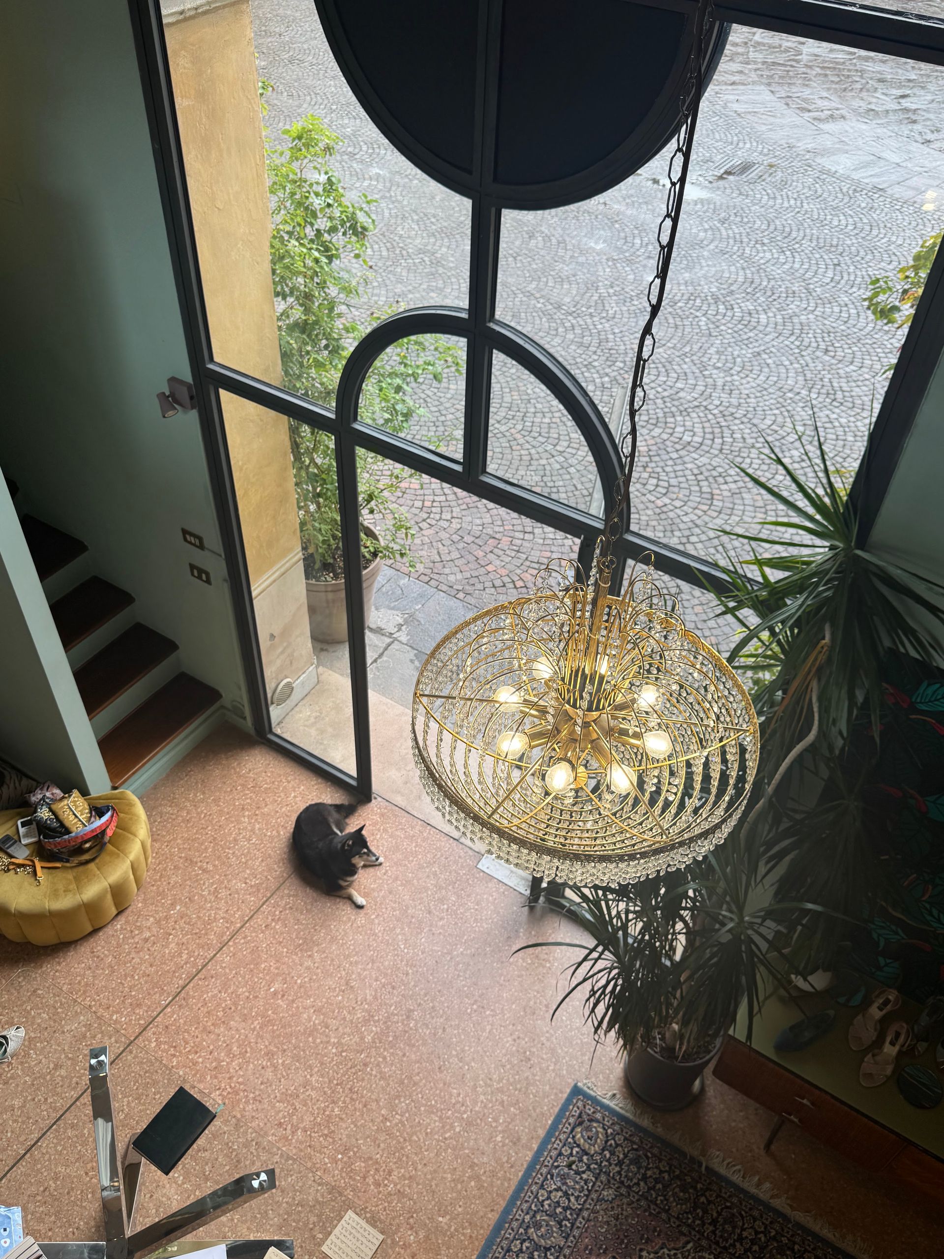 Leise - © Photo by Negozio di Scarpe Leise Shoes