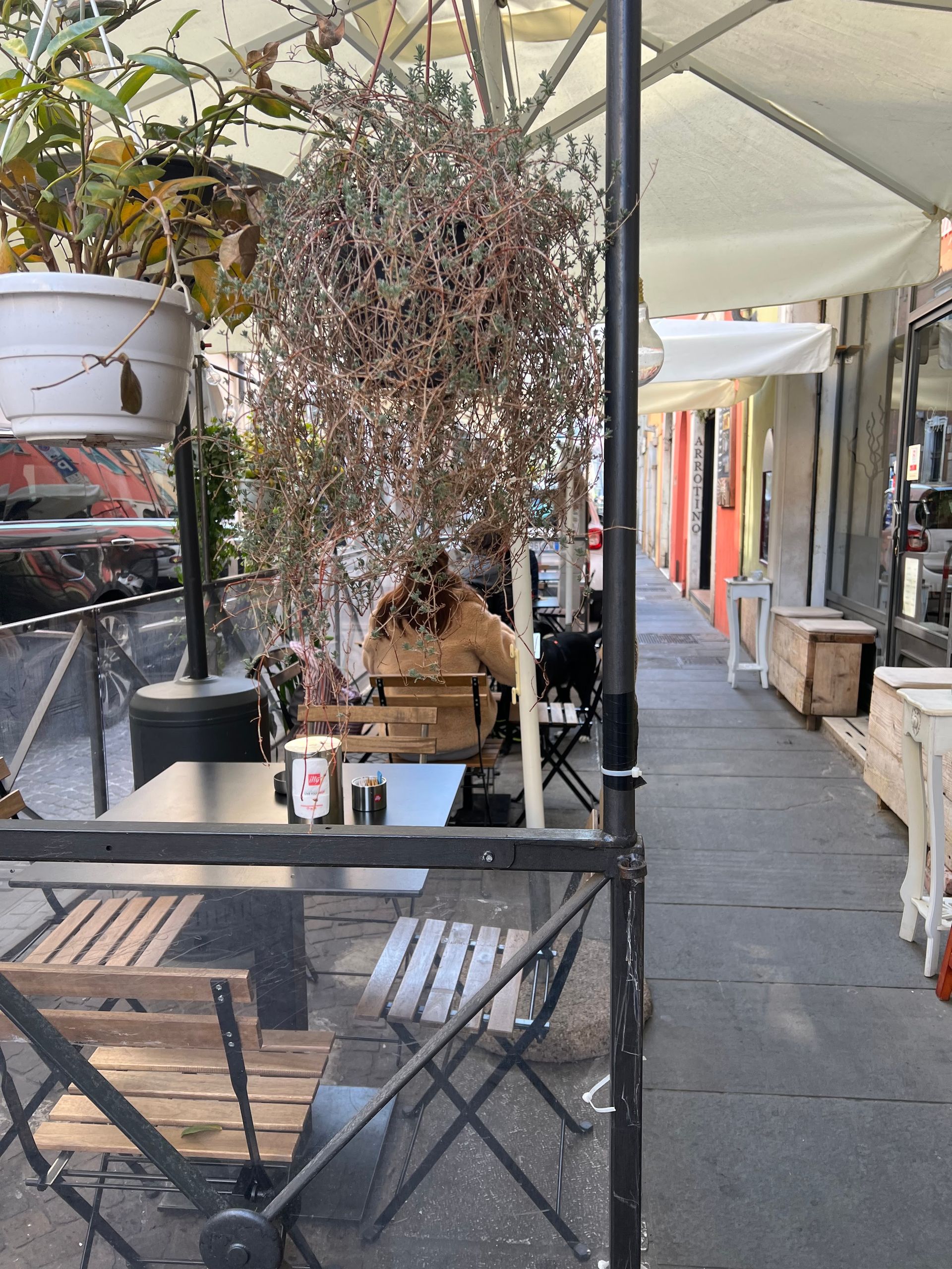 Loro... - © Photo by Adp Di l'ernia