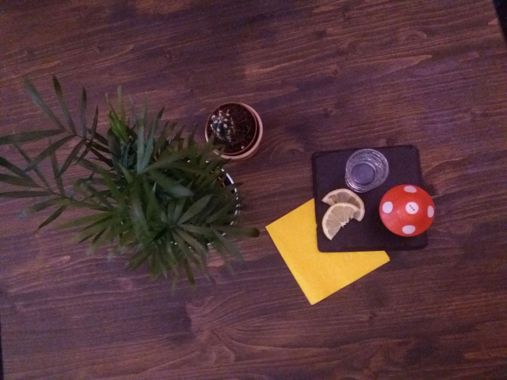 Lumi - © Photo by LuMi