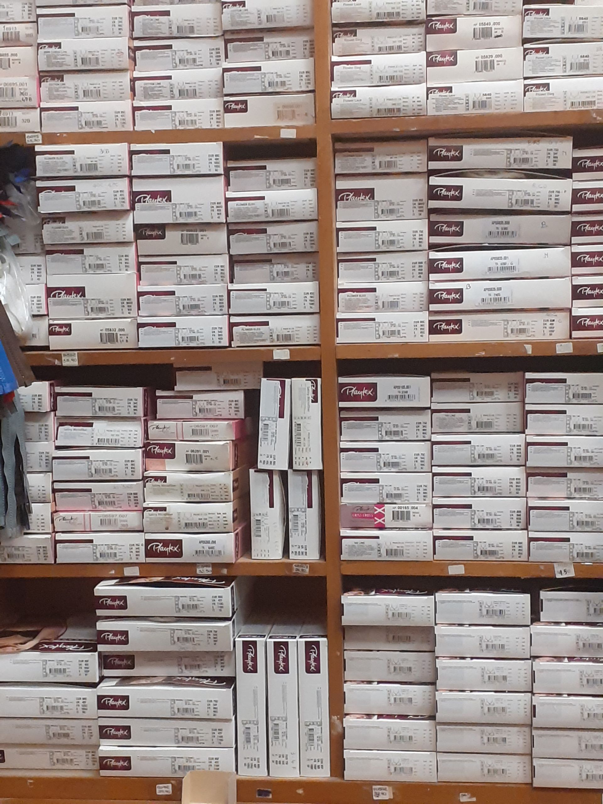 Micheli - © Photo by Micheli