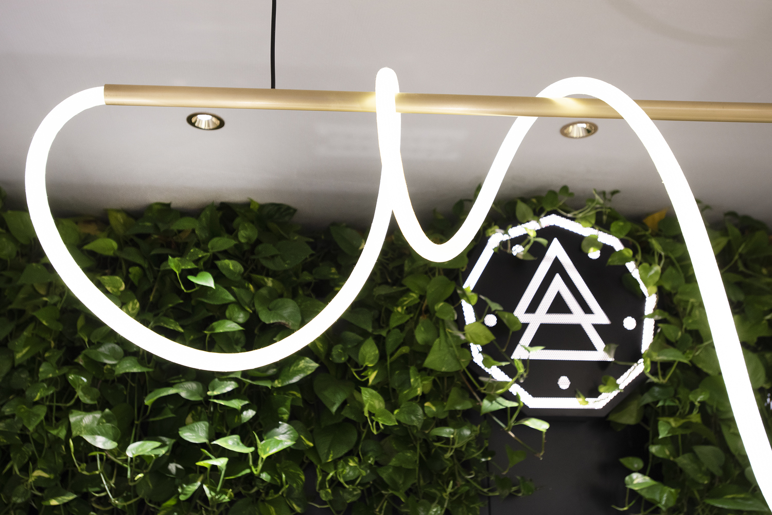 nov-25 - © Photo by Nove25