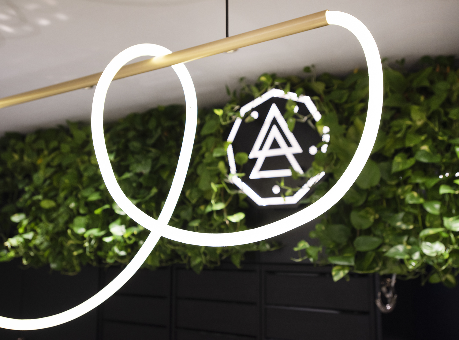 nov-25 - © Photo by Nove25