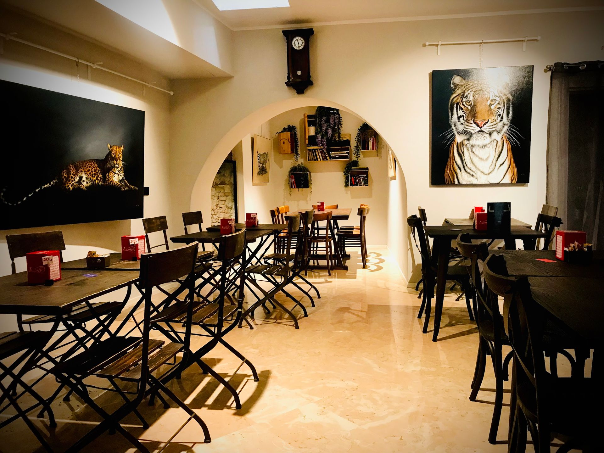 Paco - © Photo by Elena Confortini