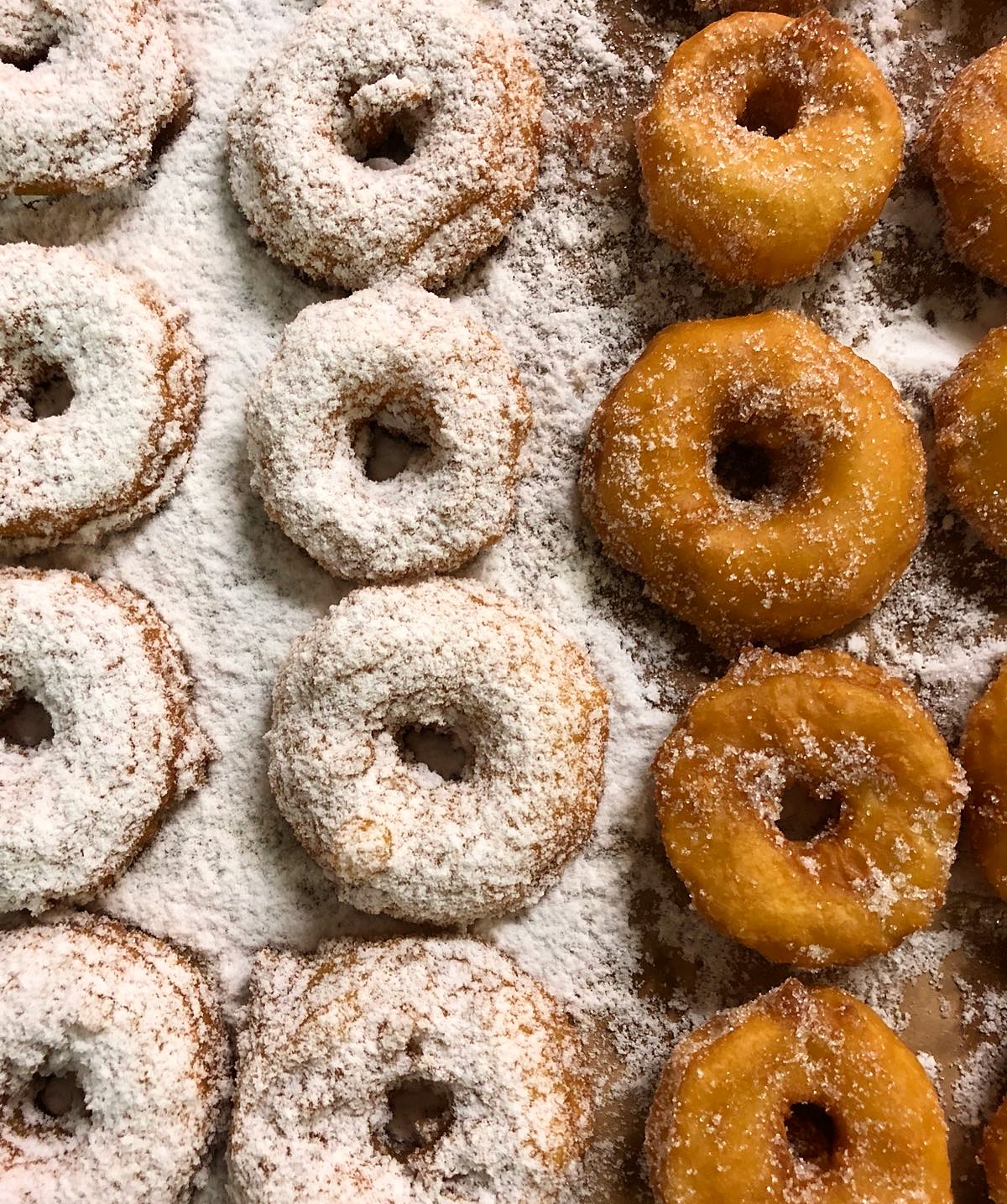 Pasticceria tacconi - © Photo by Pasticceria Tacconi
