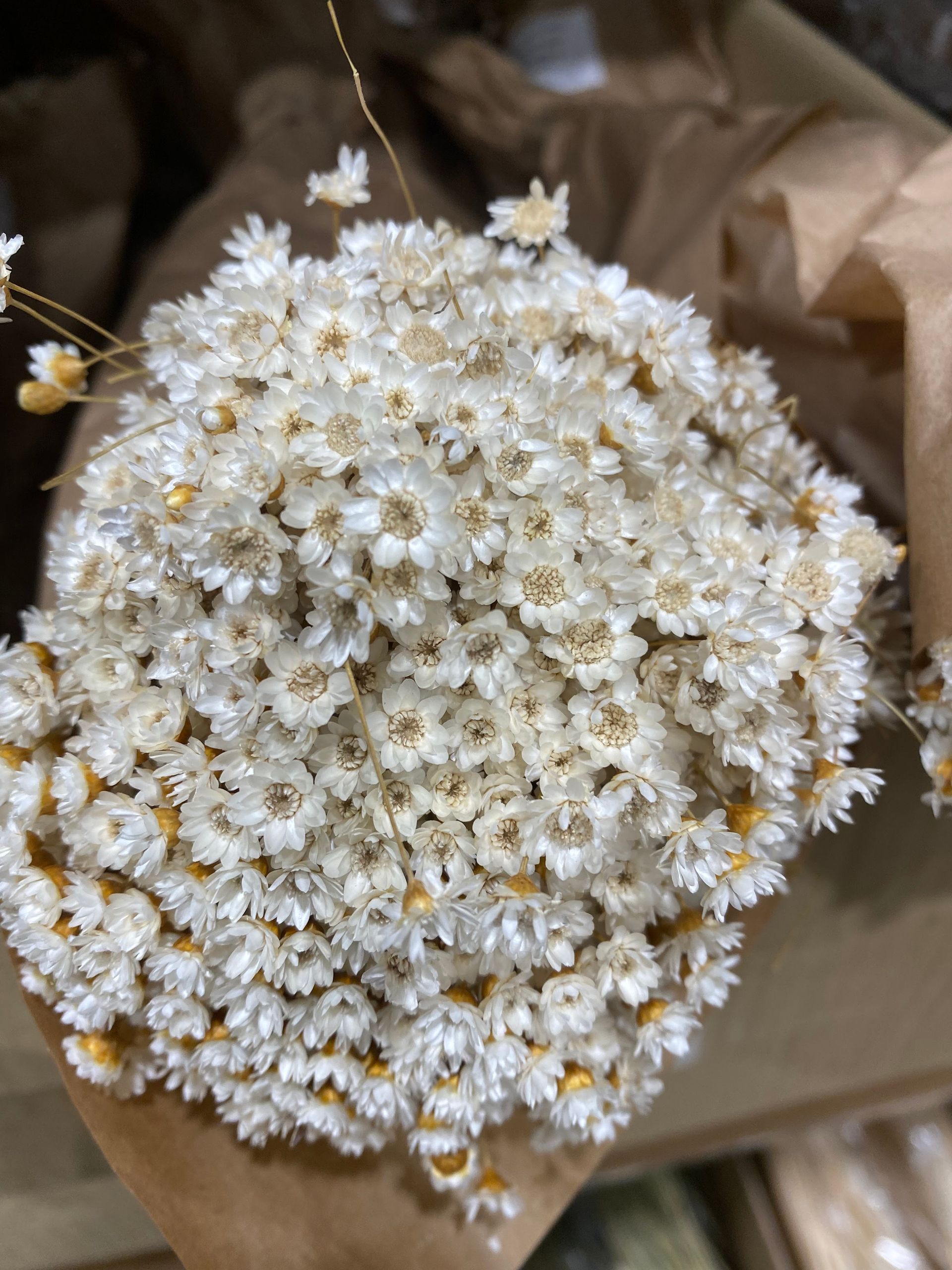 Pepenero - © Photo by Pepenero Home & Flowers