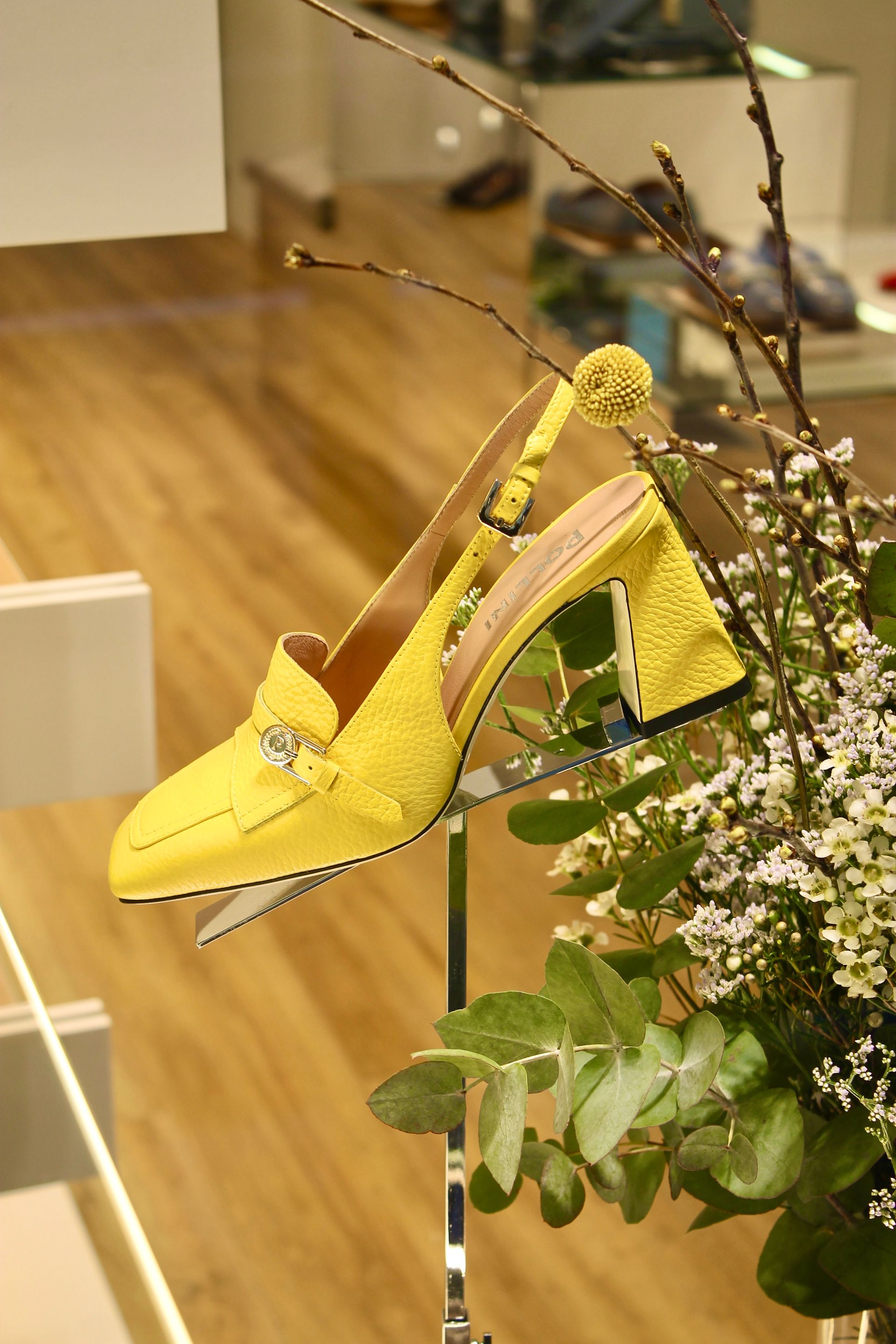 Pollini - © Photo by Pollini Brescia