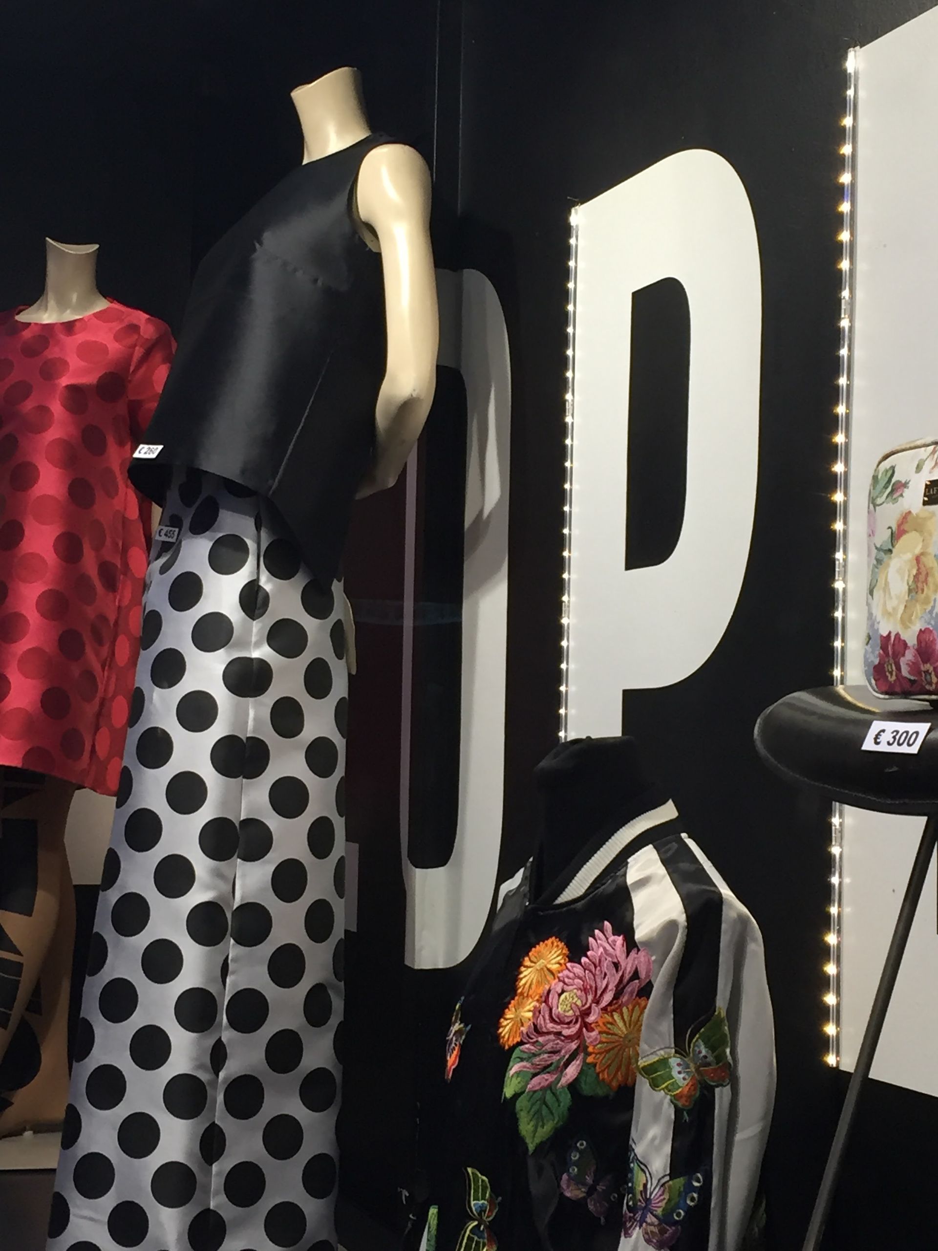 Smart Penelope - © Photo by kerb52 Robert