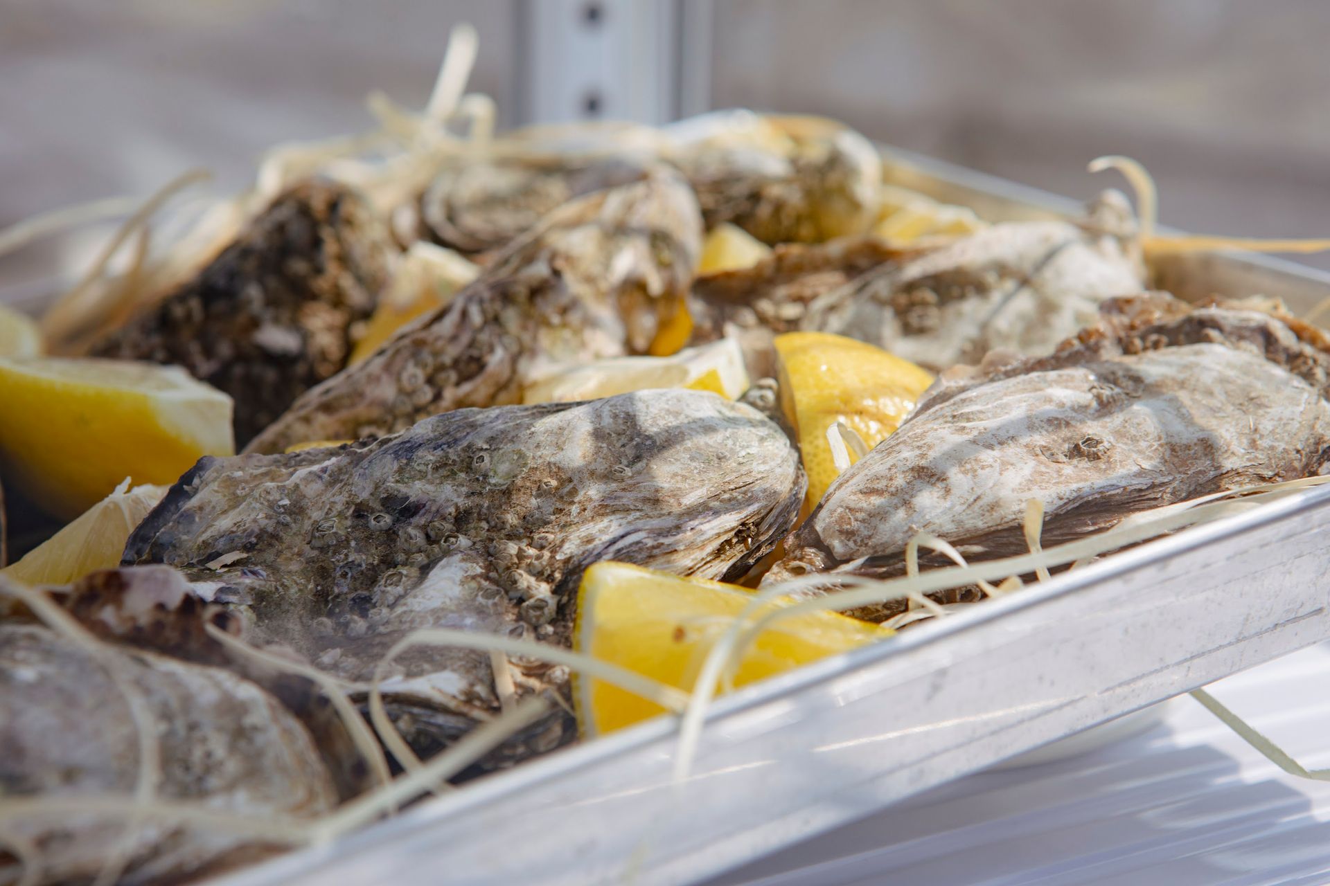 Terrazza Vittoria - © Photo by Terrazza Vittoria