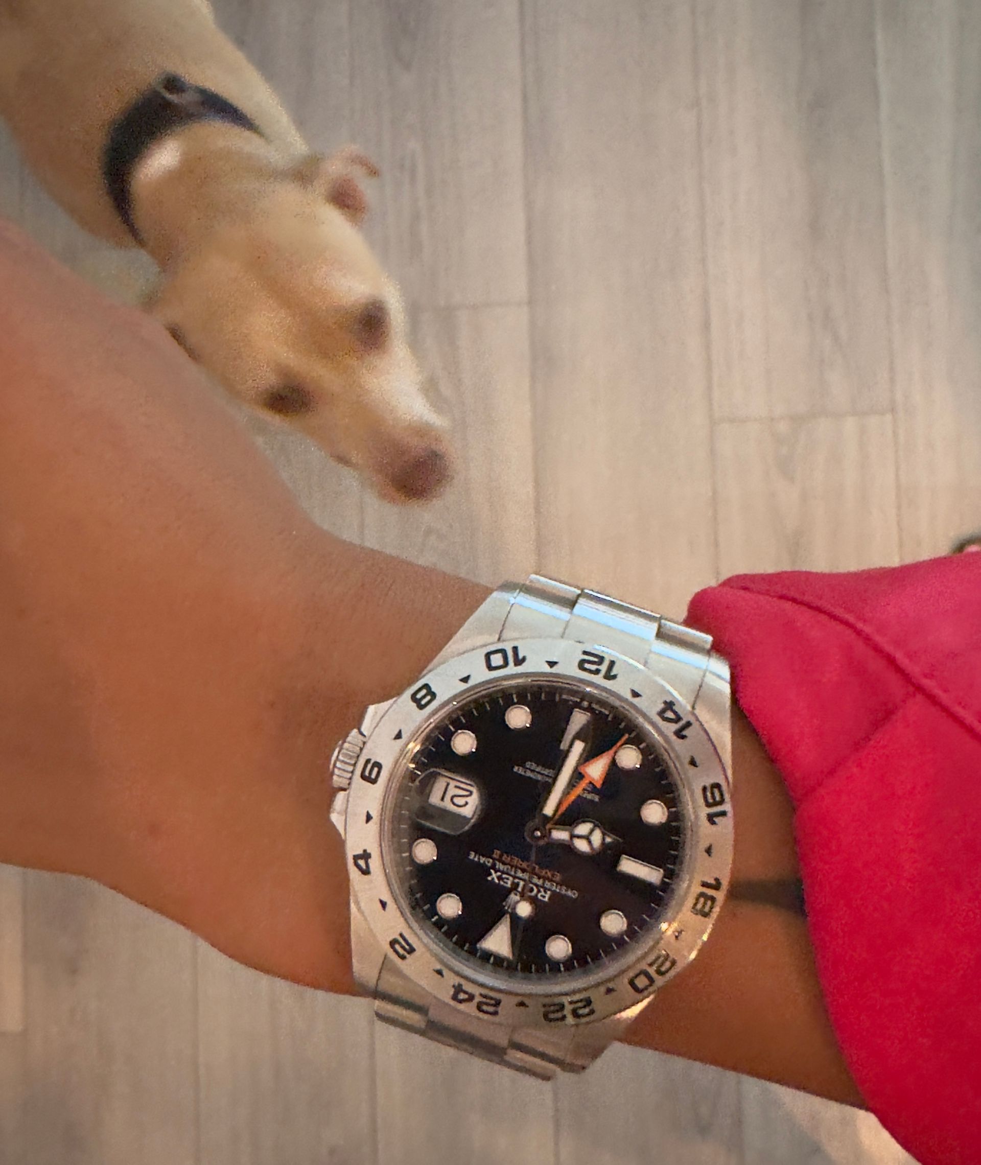 Top Watches - © Photo by Florea Iulia