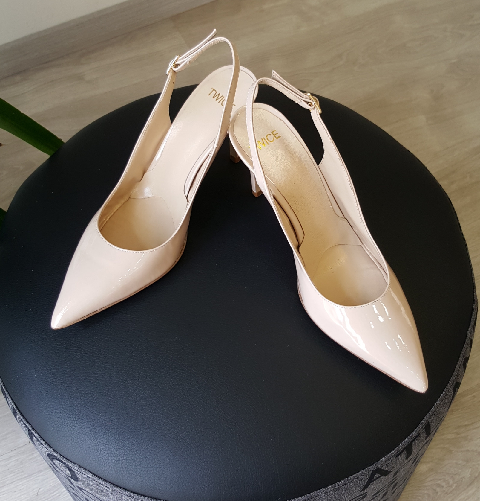 Twice - © Photo by Paola Monticelli