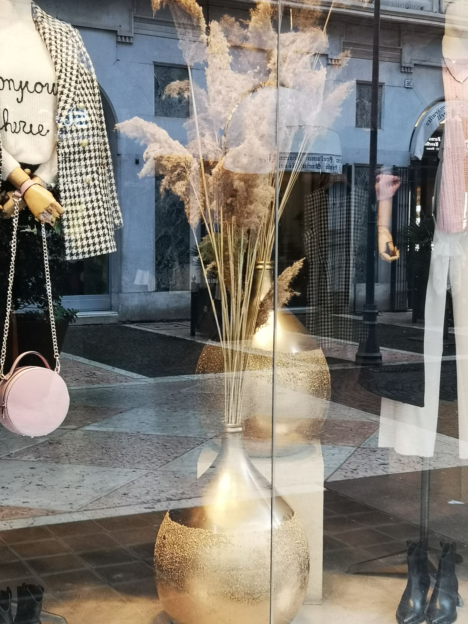 Xetra - © Photo by Iriam Perez R.