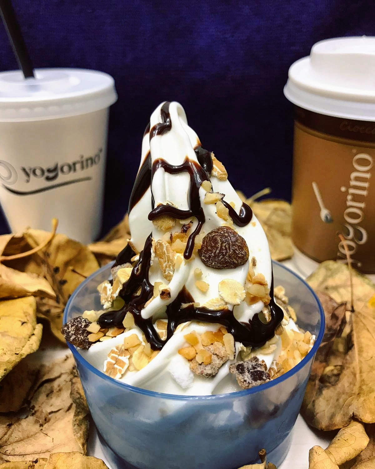 Yogorino - © Photo by Yogorino