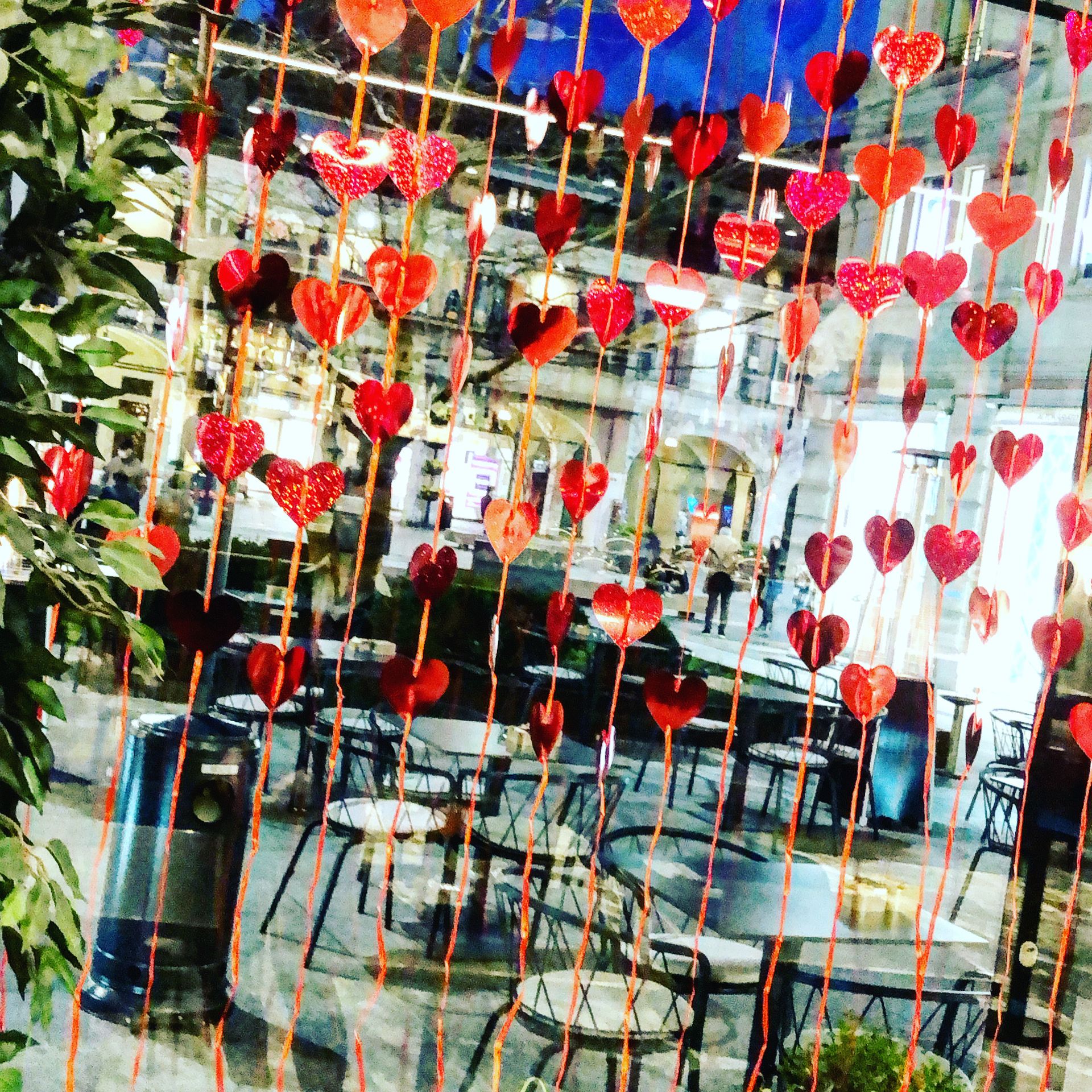 Zanardelli 36 - © Photo by Zanardelli36 caffetteria food e drink