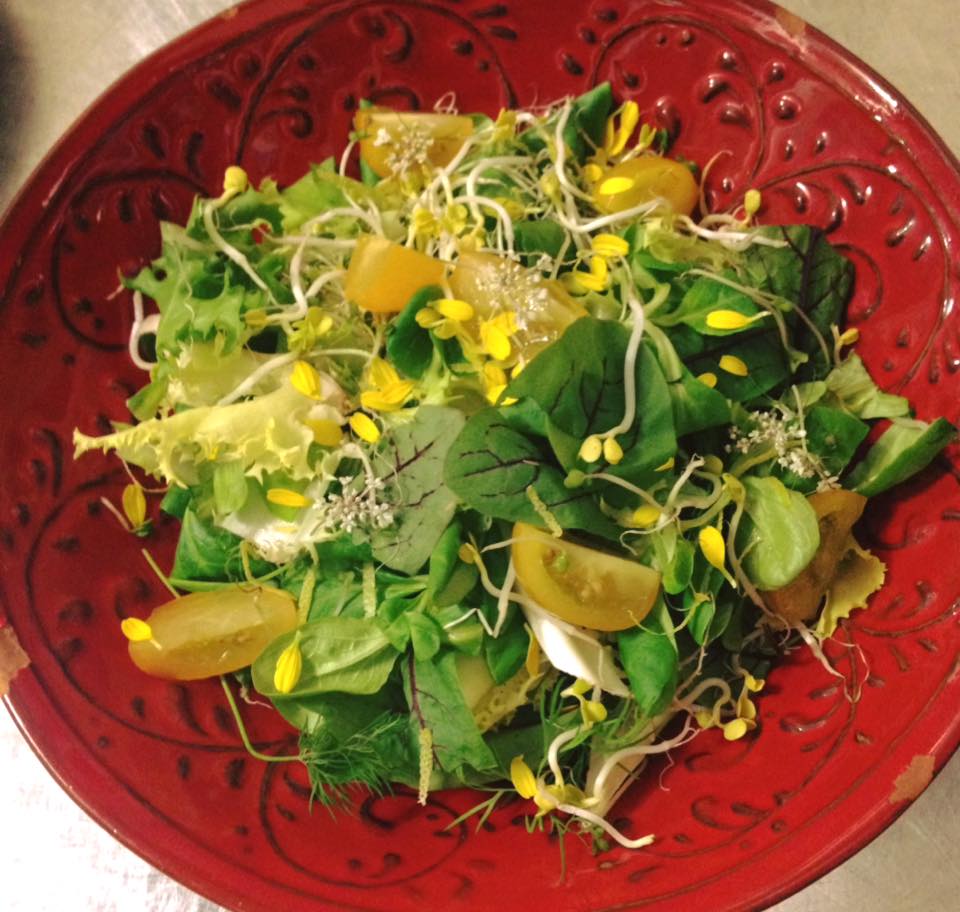 Zia Gabri - © Photo by L'Osteria Della Zia Gabri