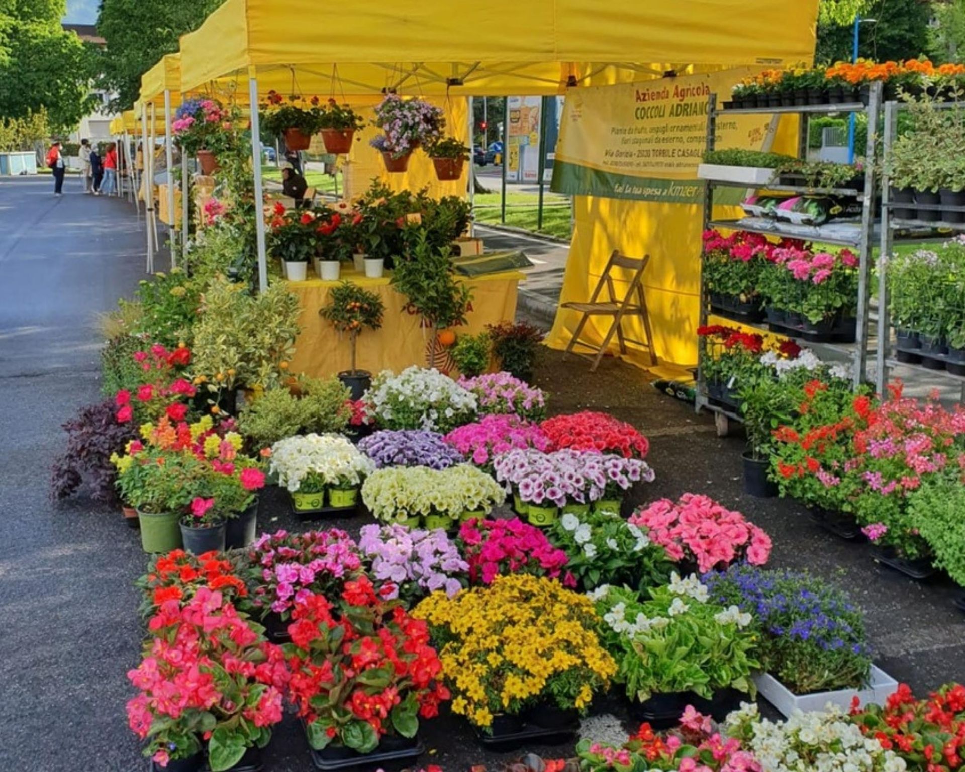 ColdirettimercatoMompiano